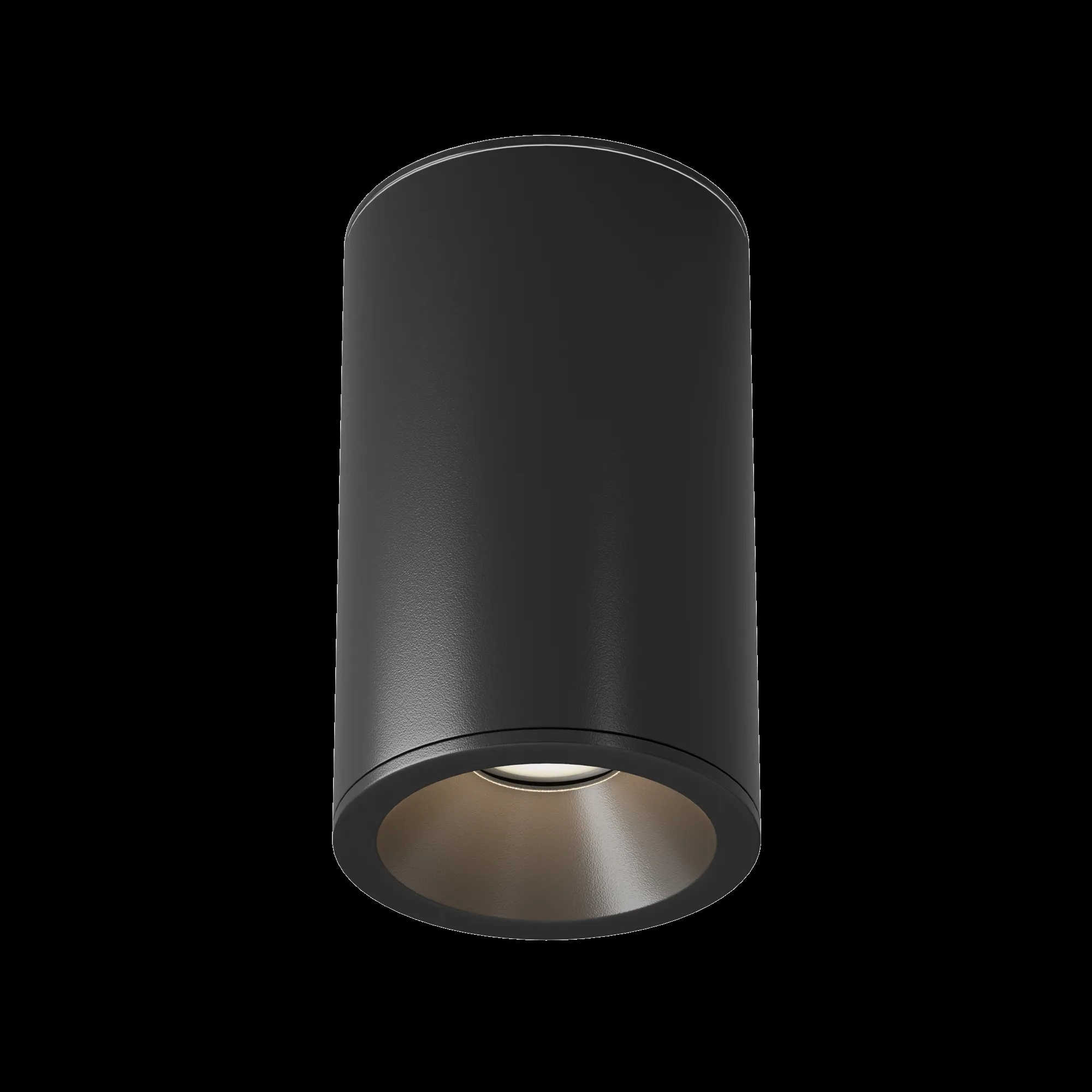 картинка Потолочный светильник Technical C029CL-01-S-B