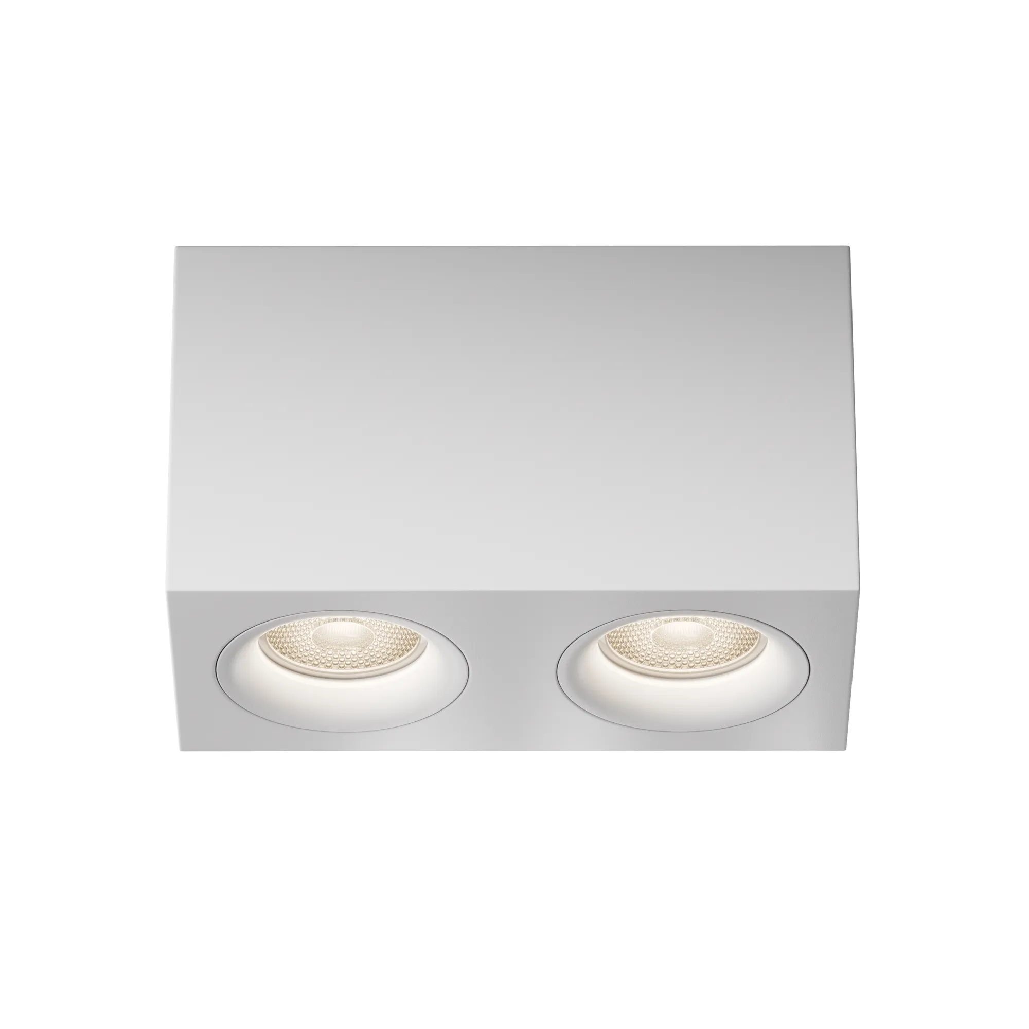 картинка Потолочный светильник Technical C013CL-02W
