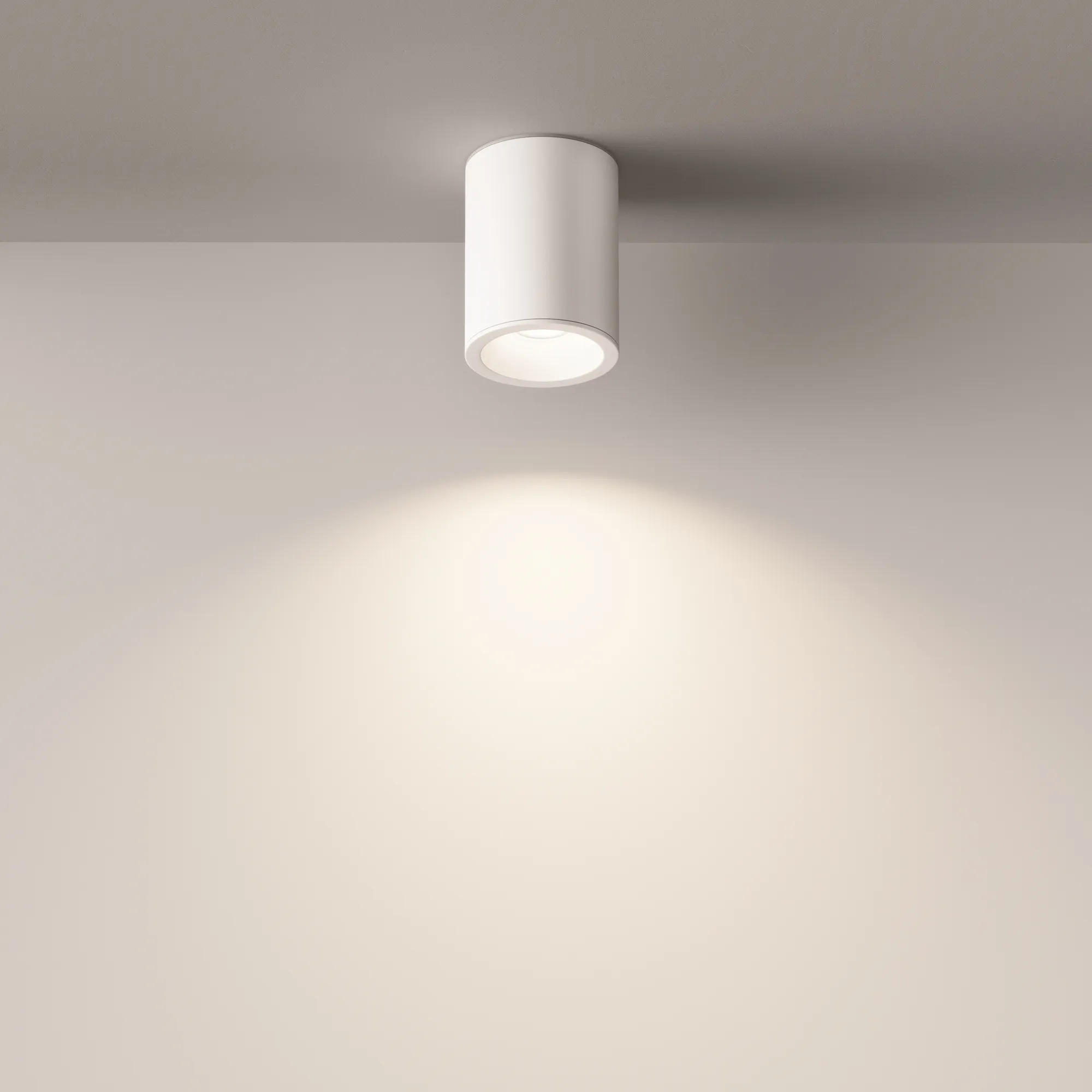 картинка Потолочный светильник Technical C029CL-01W
