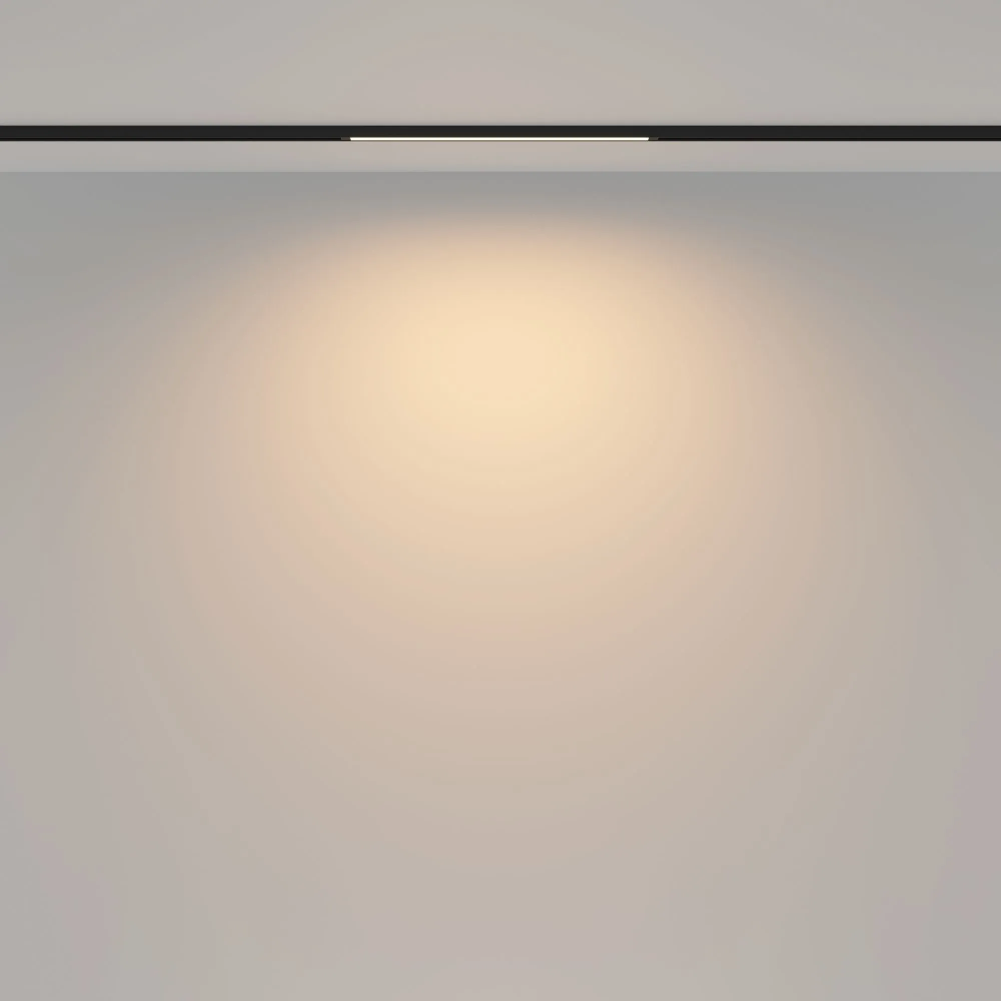 картинка Трековый светильник Technical TR173-1-8WTW-B