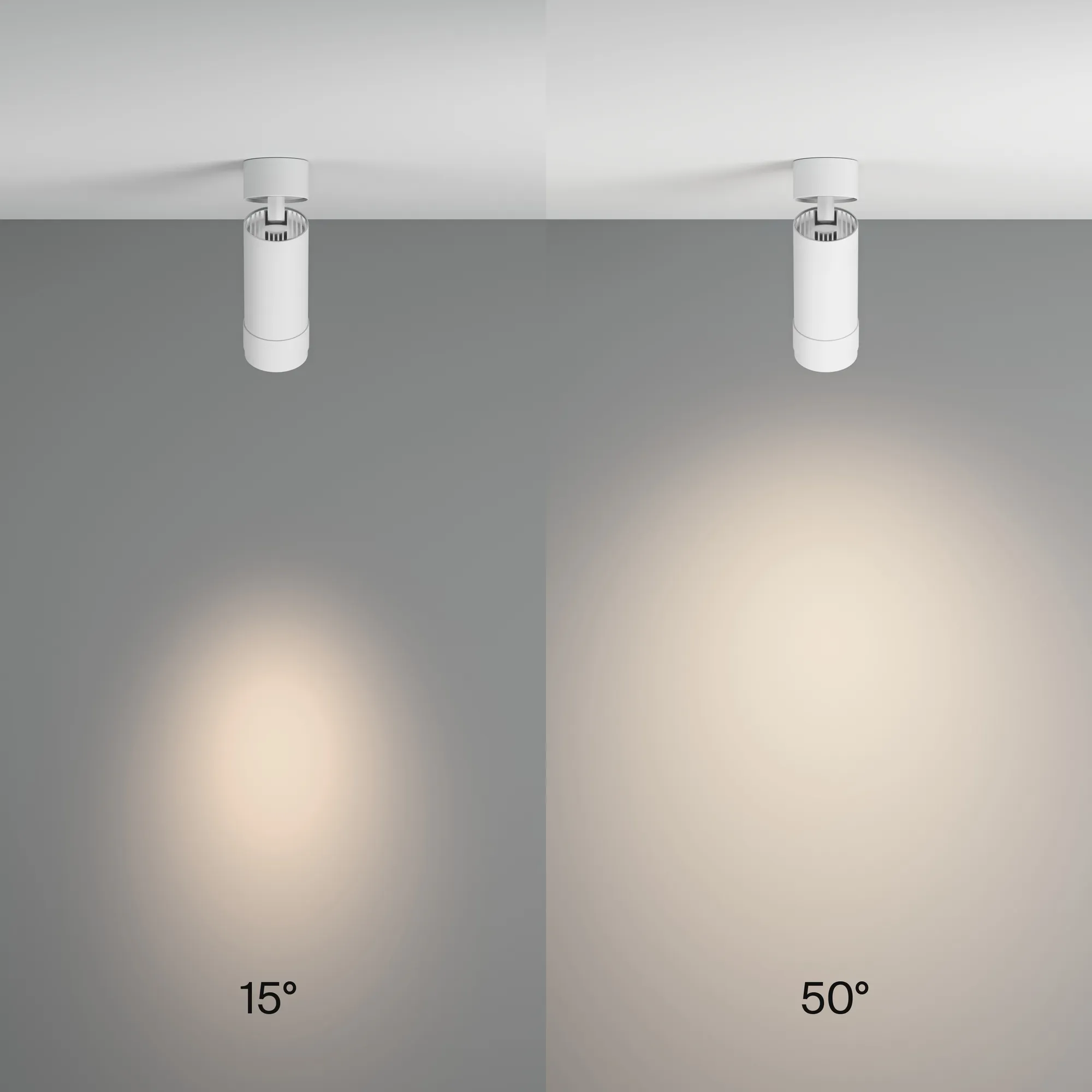 картинка Потолочный светильник Technical C055CL-L12W4K-Z-W