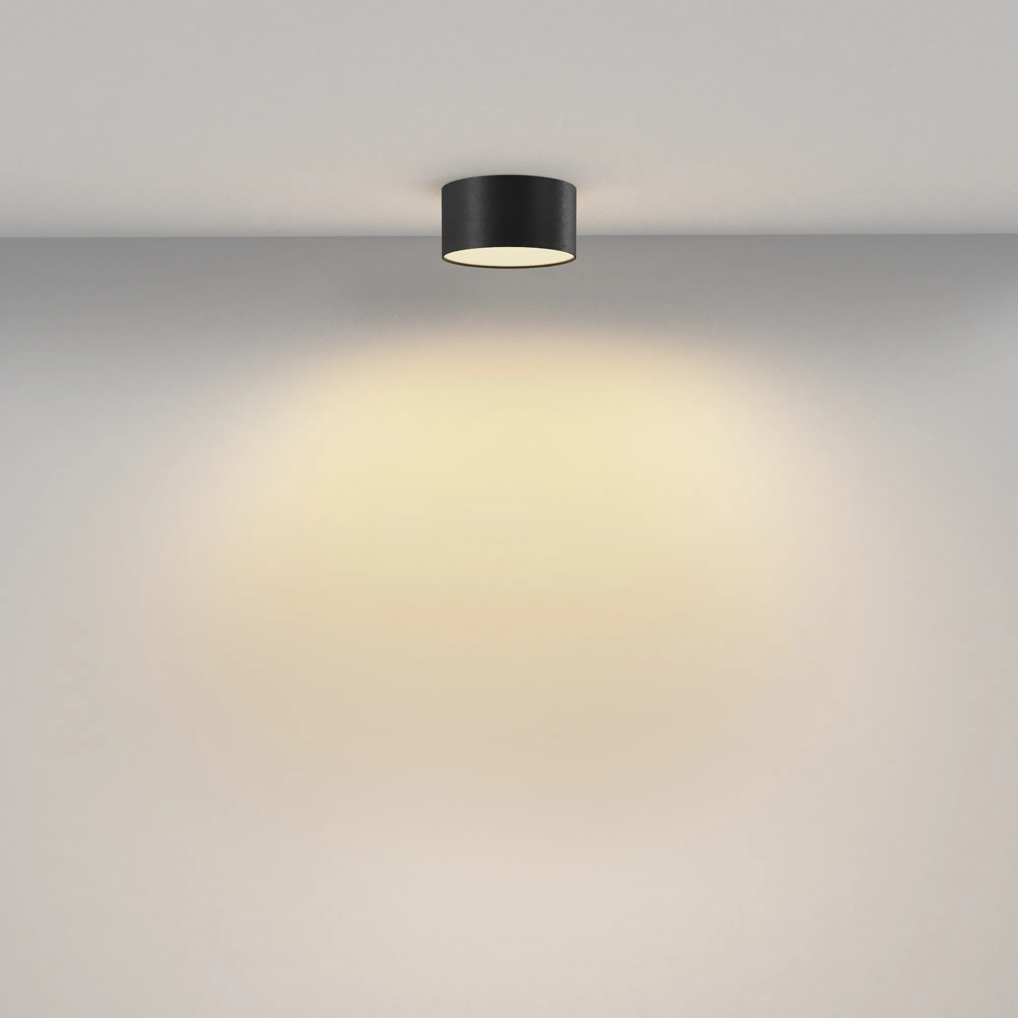 картинка Потолочный светильник Technical C032CL-12W2.7K-RD-B