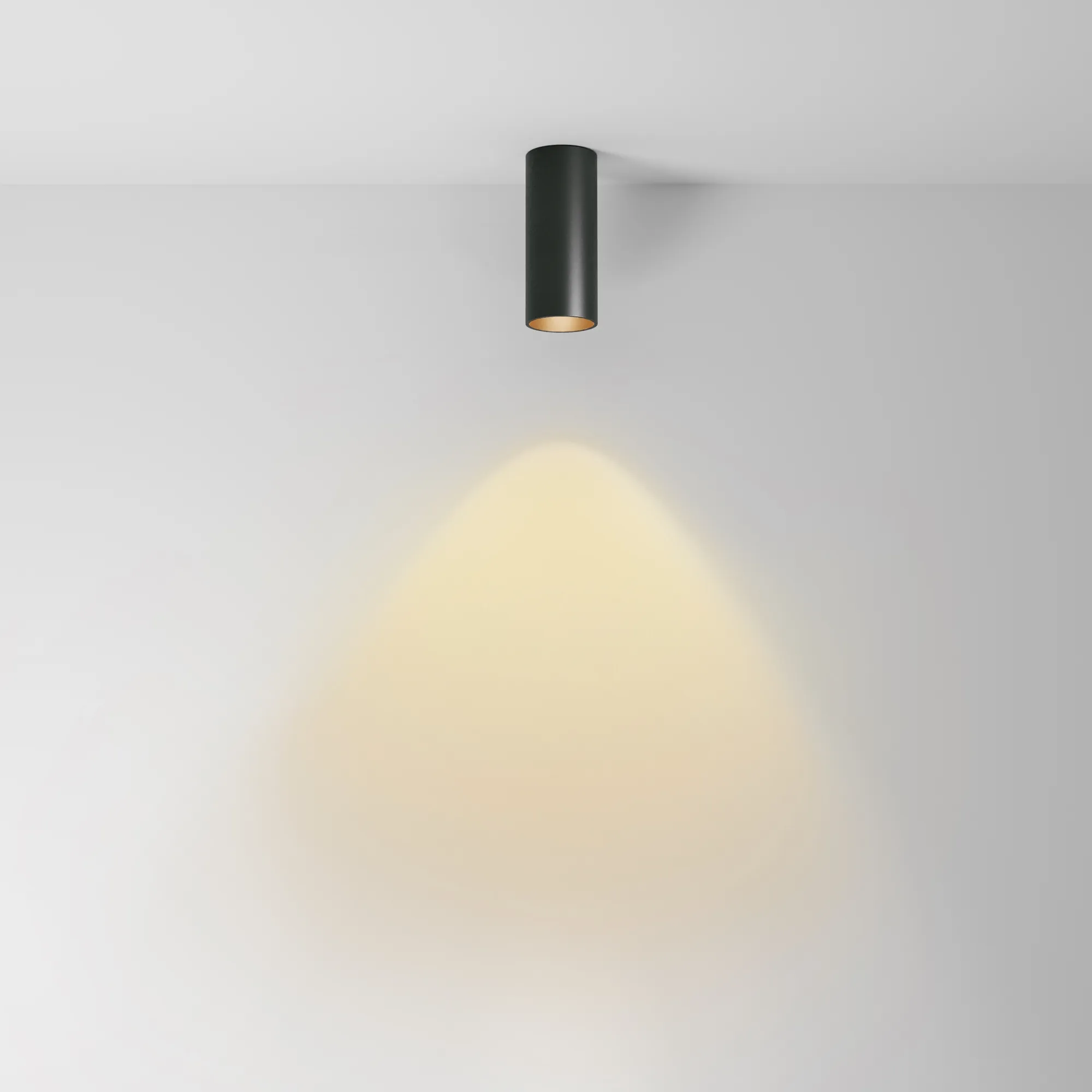 картинка Потолочный светильник Technical C056CL-L12B2.7K-W-B