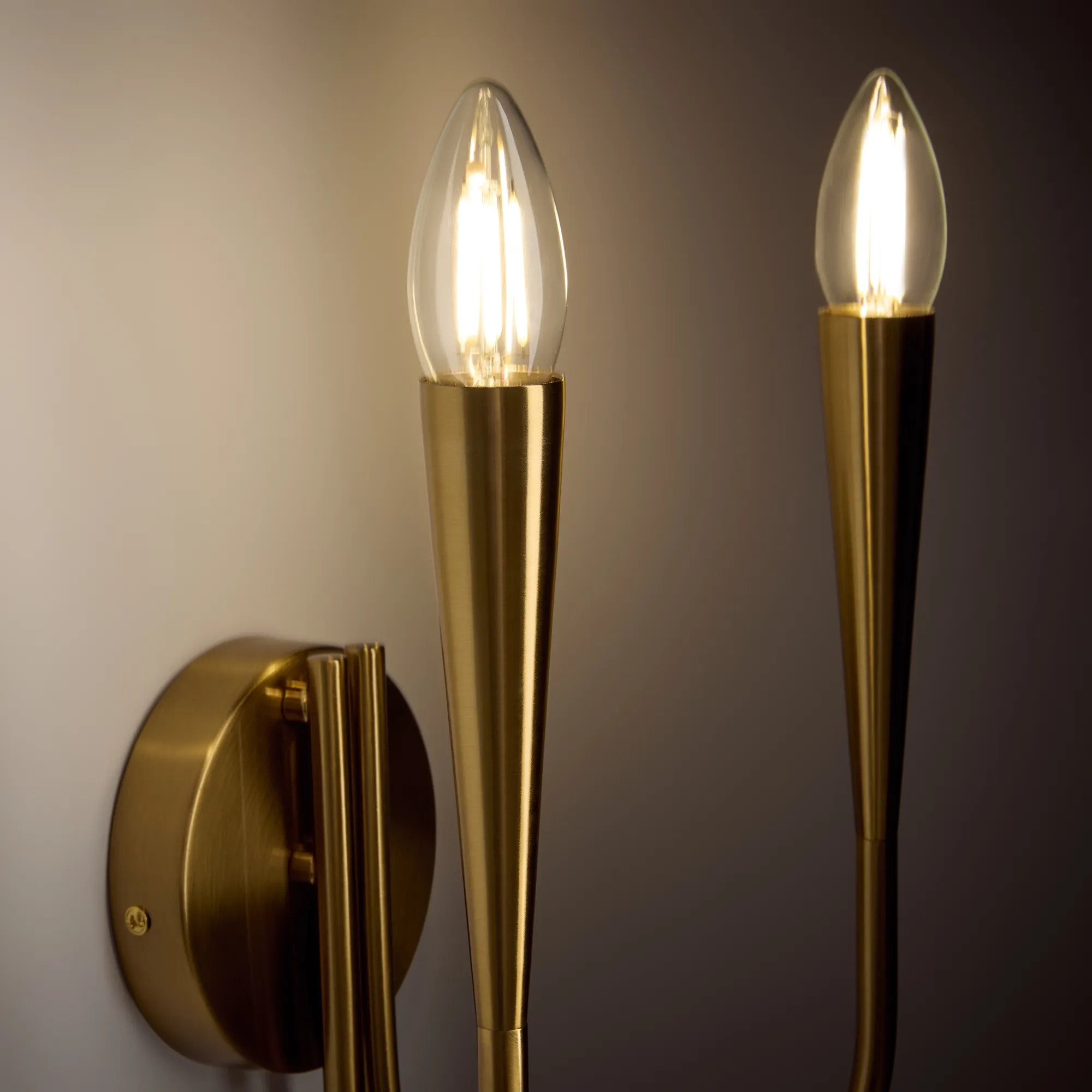 картинка Настенный светильник (бра) Freya FR5253WL-02BS