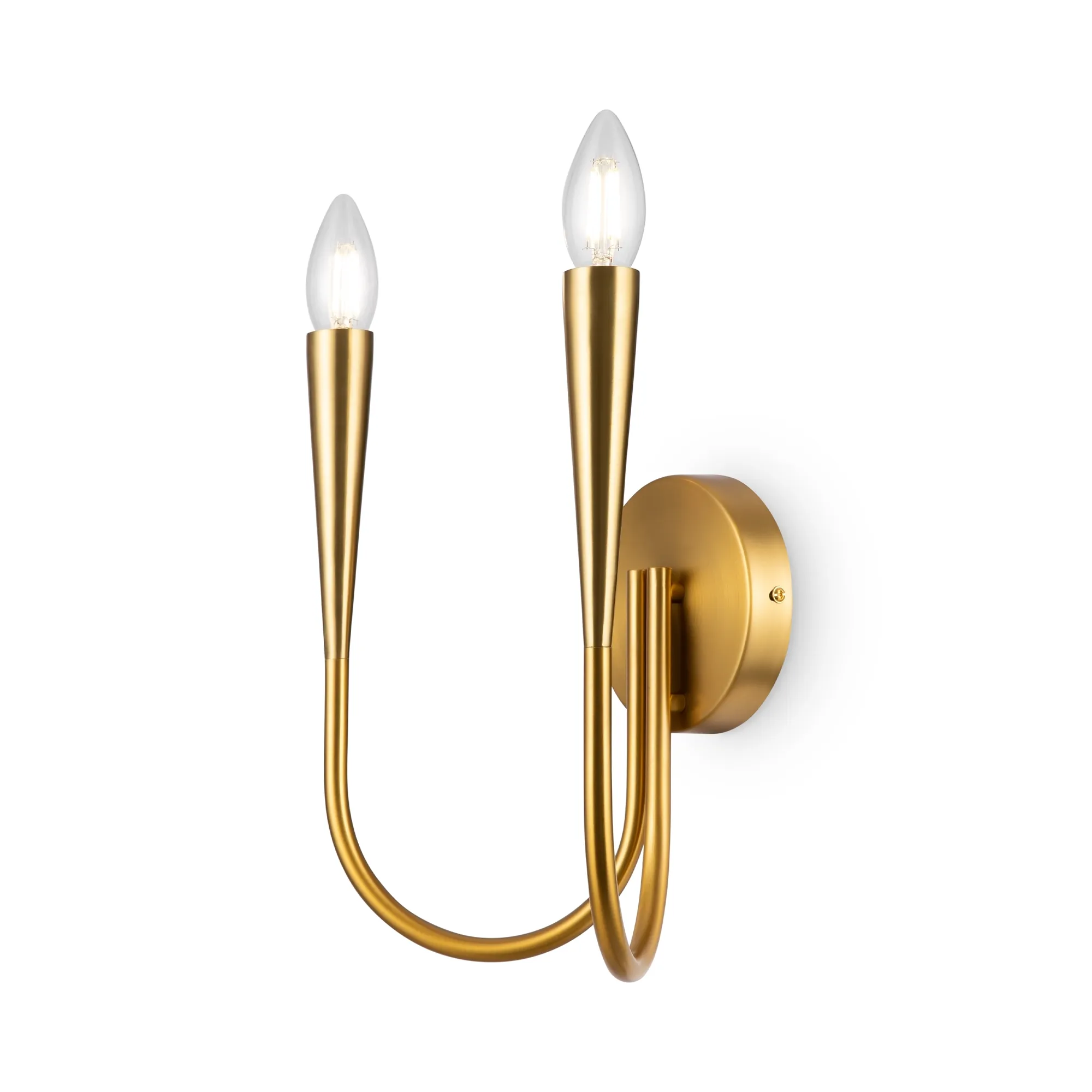 картинка Настенный светильник (бра) Freya FR5253WL-02BS