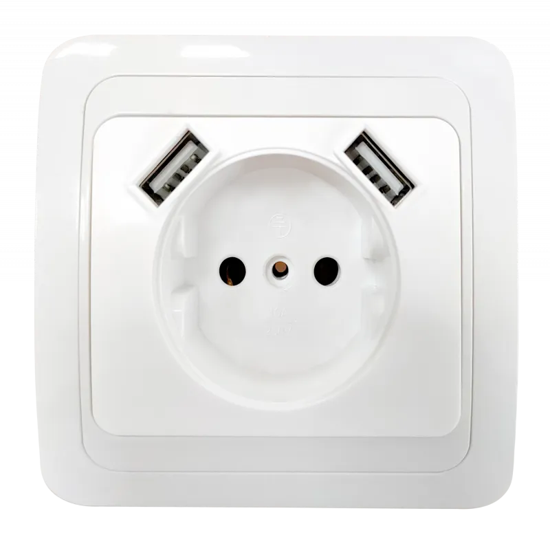 картинка Розетка одинарная CLASSICO с двумя USB белая 2147 IN HOME
