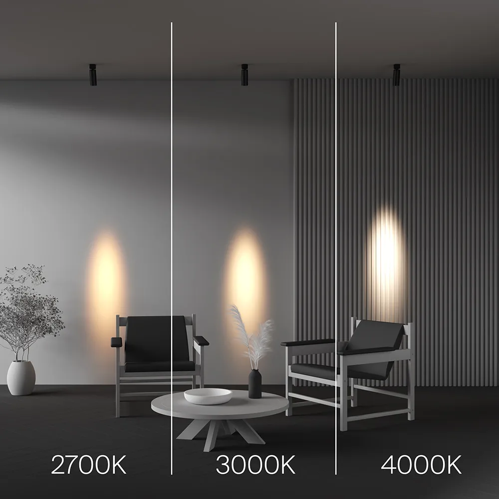 картинка Потолочный светильник Technical C055CL-L12W2.7K-SS-B