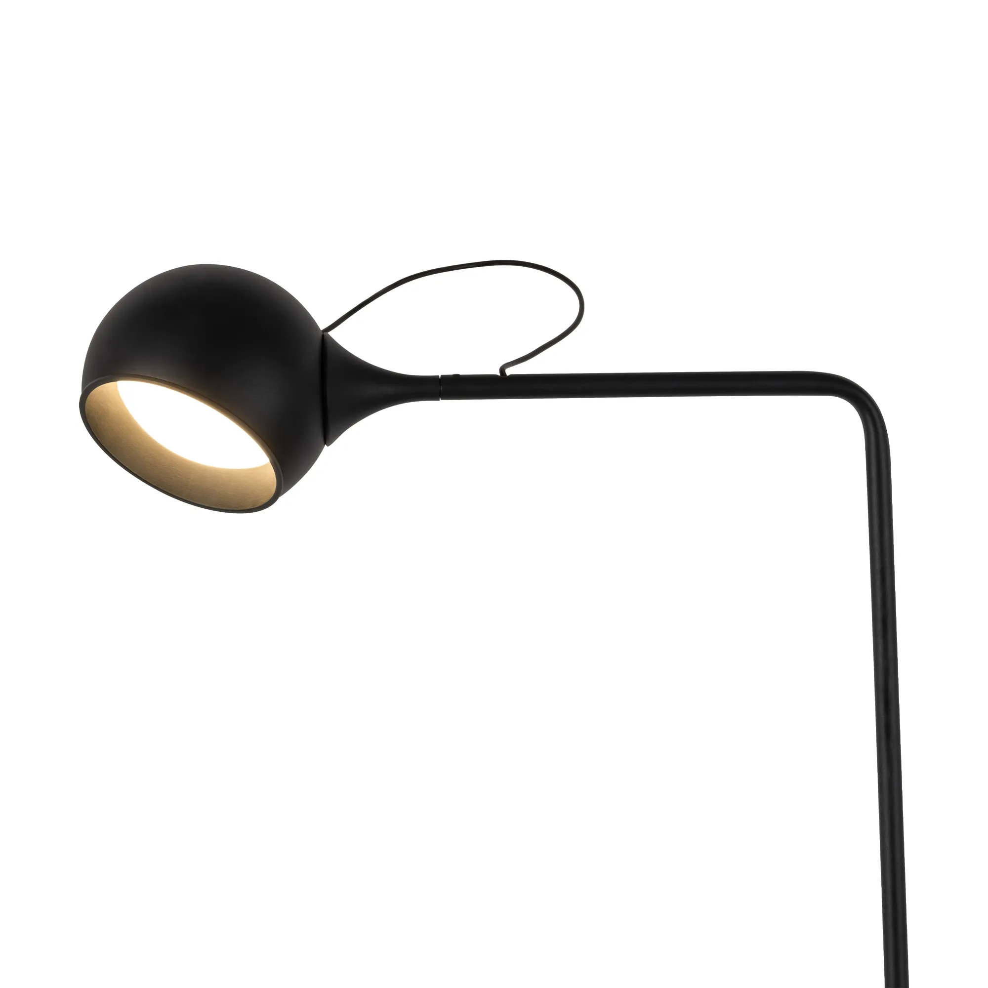 картинка Напольный светильник (торшер) Freya FR5606FL-L9B