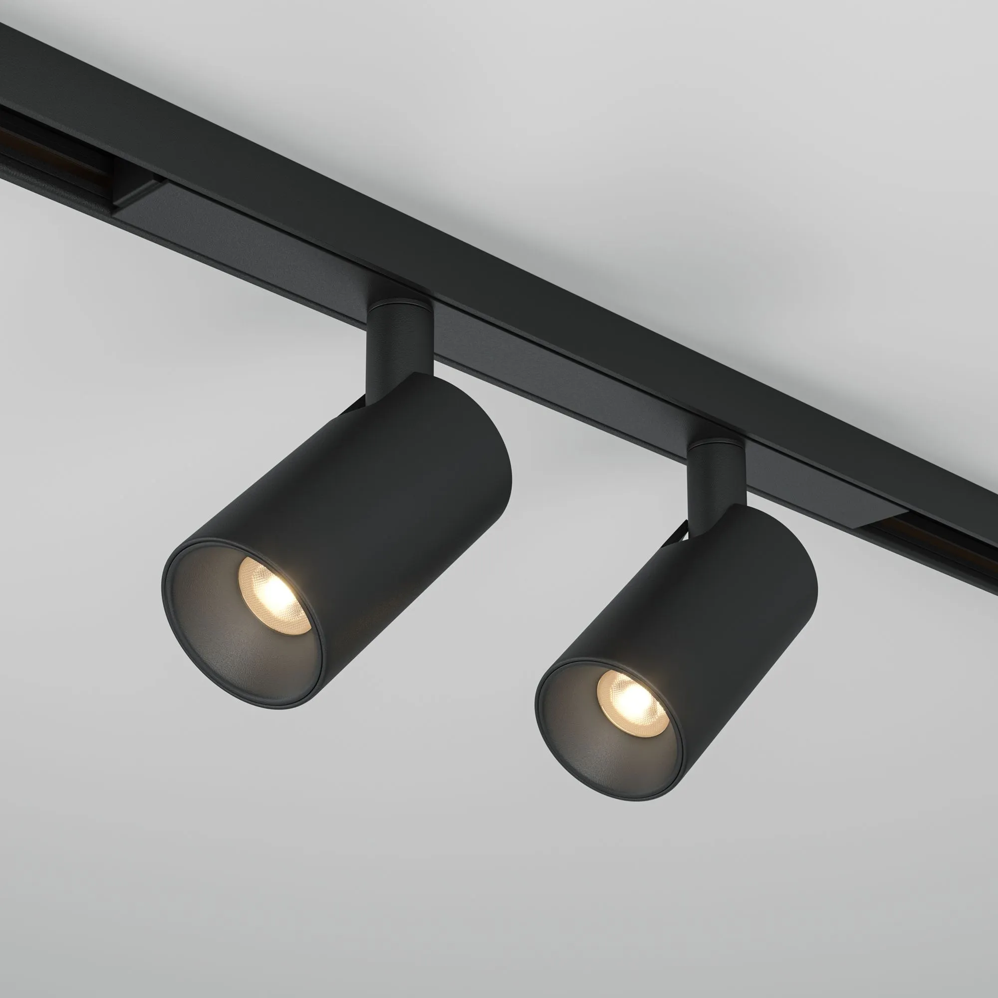 картинка Трековый светильник Technical TR176-1-2X5WTW-M-B