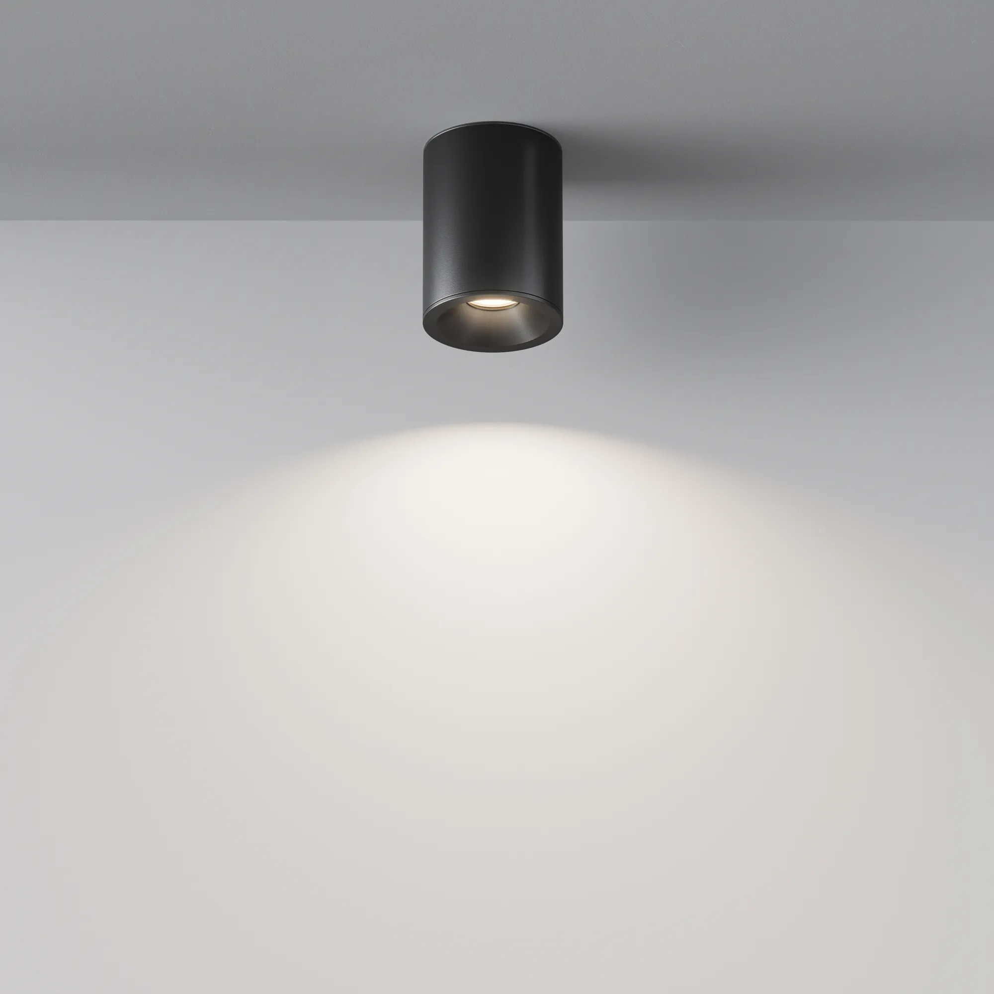 картинка Потолочный светильник Technical C029CL-01B
