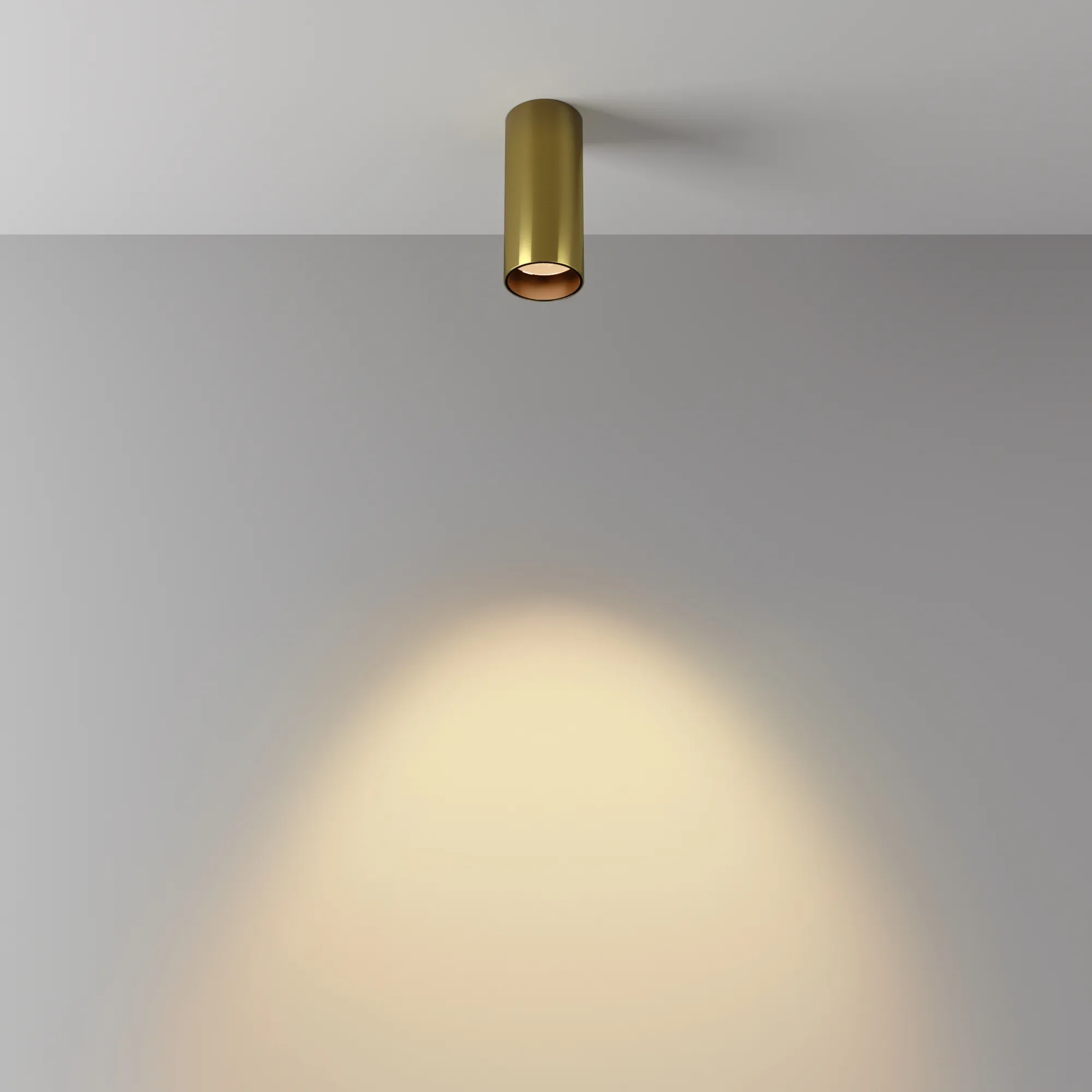 картинка Потолочный светильник Technical C056CL-L12W2.7K-W-BS