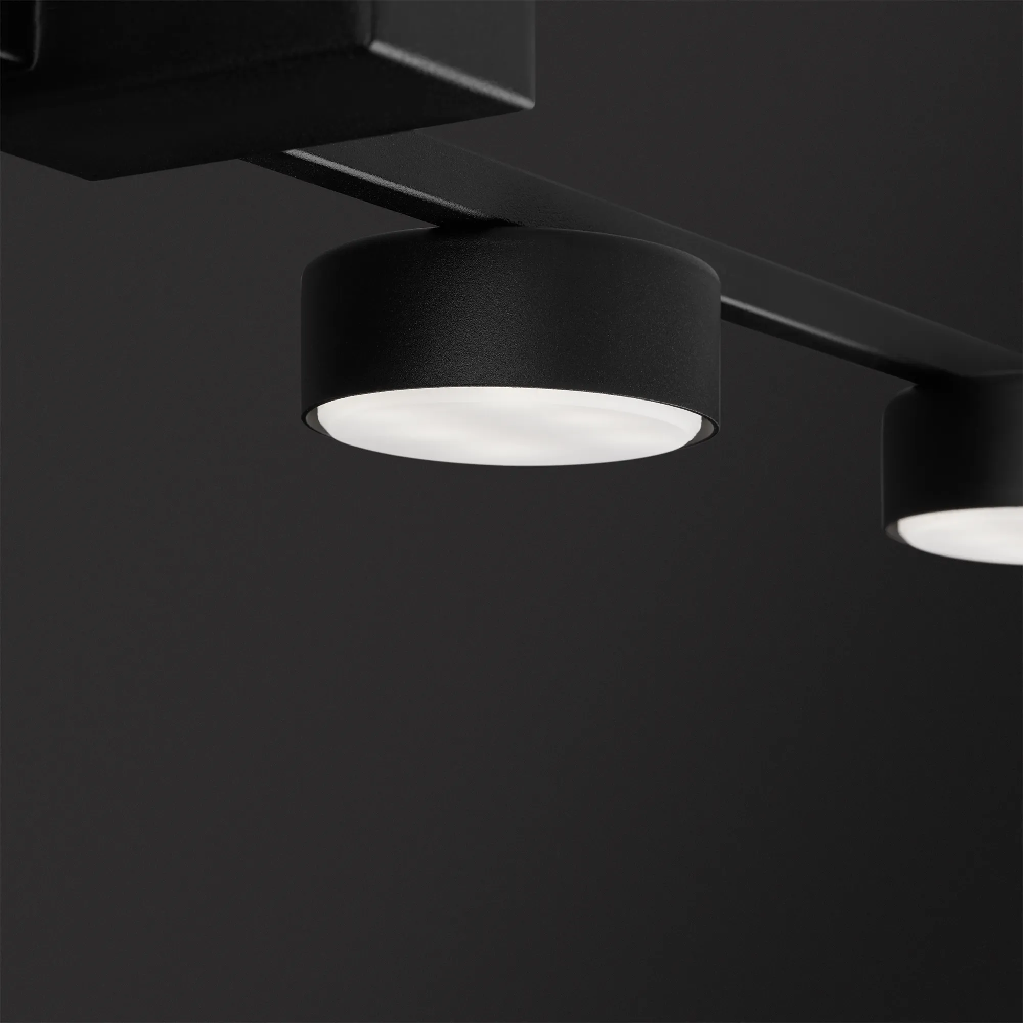 картинка Потолочный светильник Freya FR5363CL-03B