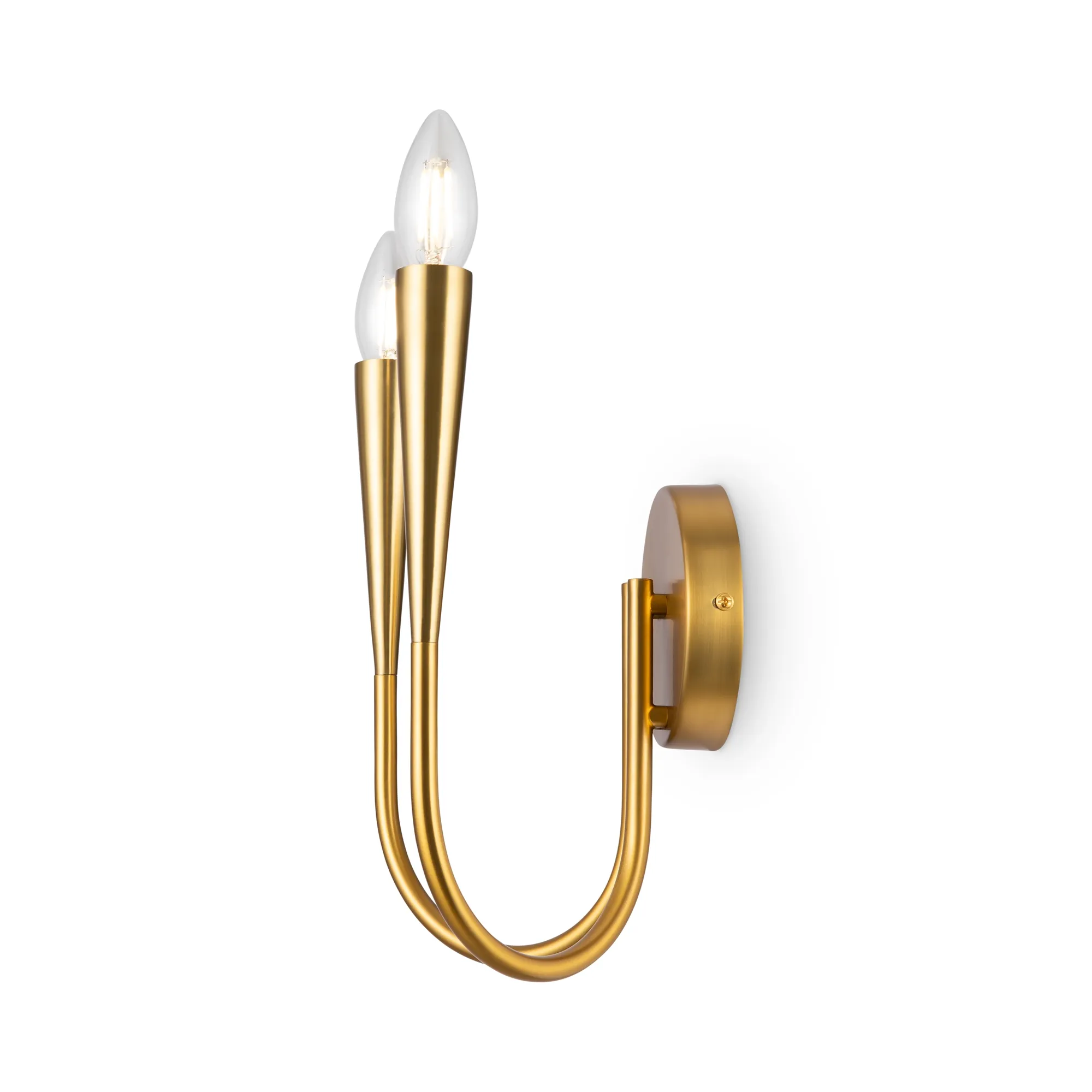 картинка Настенный светильник (бра) Freya FR5253WL-02BS