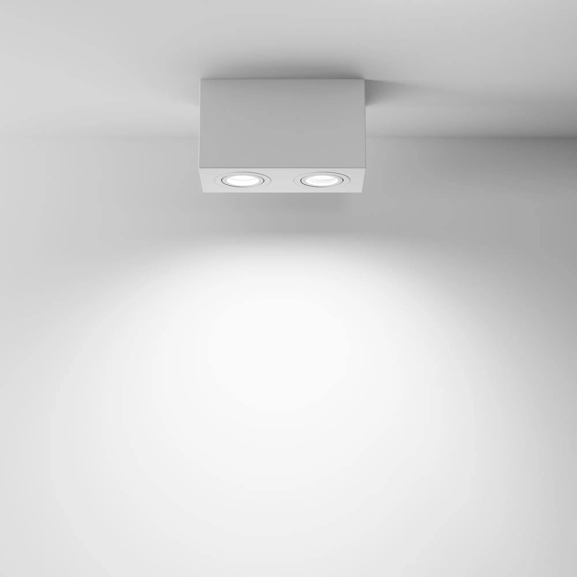 картинка Потолочный светильник Technical C017CL-02W
