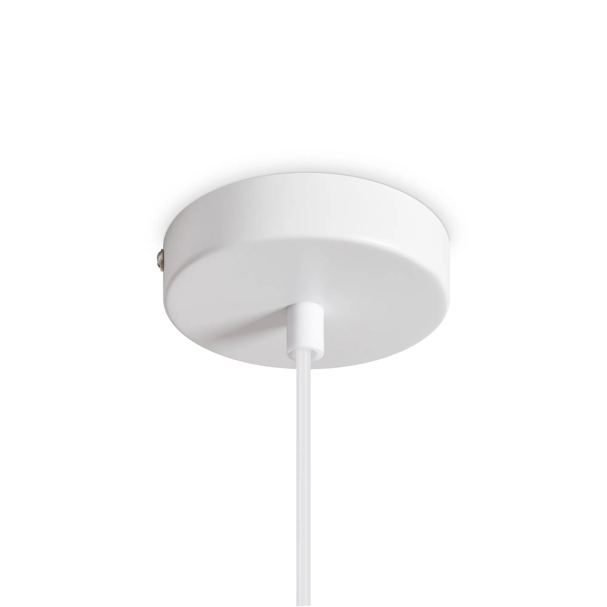 картинка Подвесной светильник Freya FR5530PL-01W