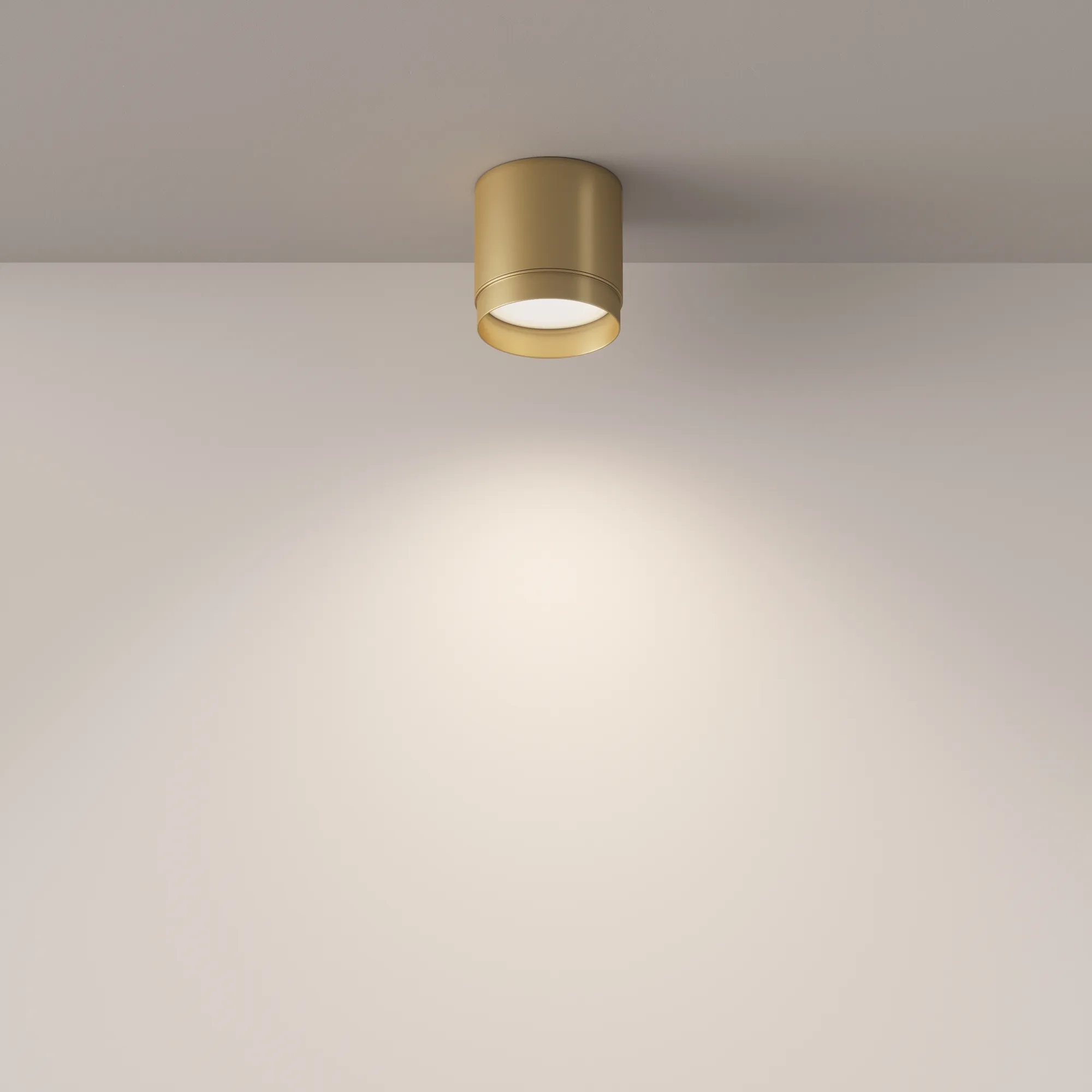 картинка Потолочный светильник Technical C088CL-GX53-MG