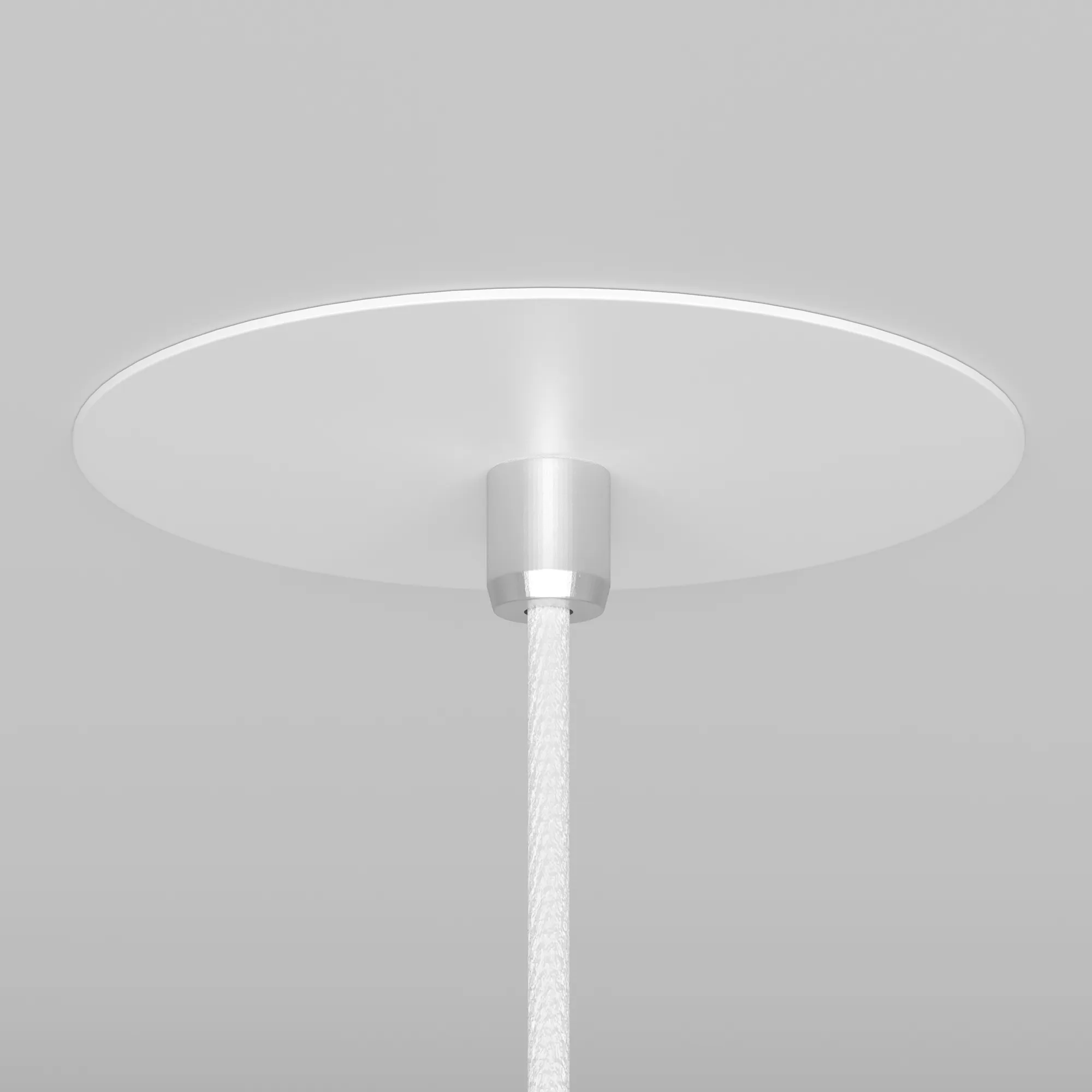 картинка Подвесной светильник Technical P318-PL-01-W