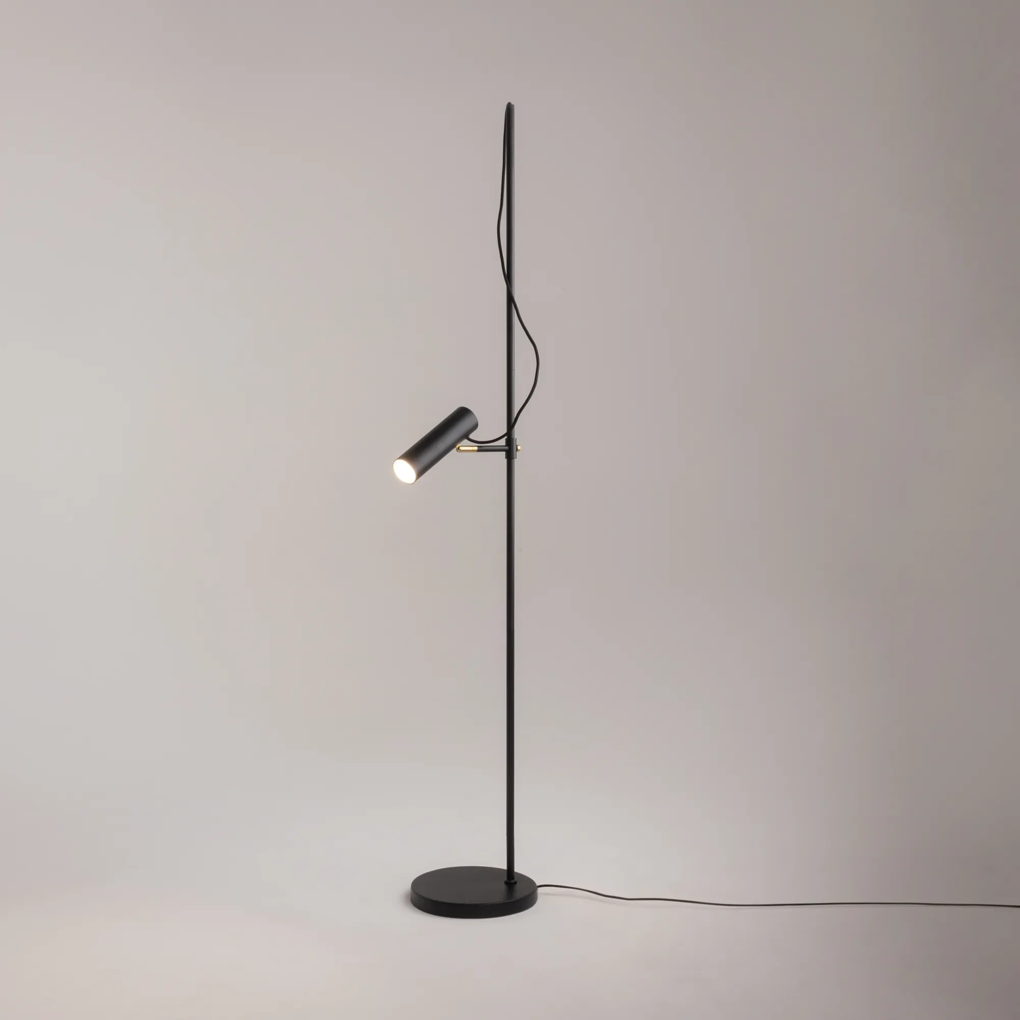 картинка Напольный светильник (торшер) Maytoni MOD129FL-01B