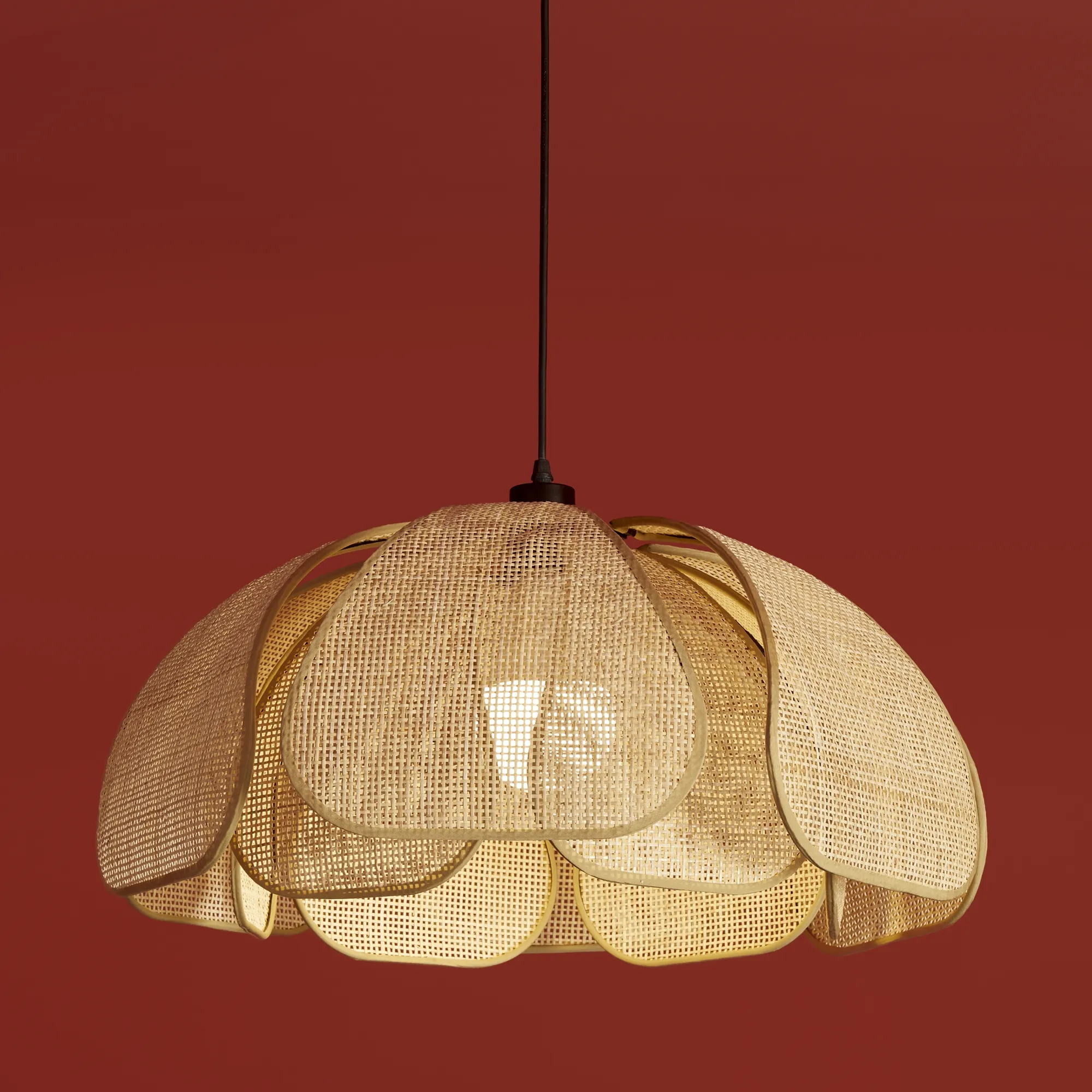 картинка Подвесной светильник Freya FR5529PL-01B