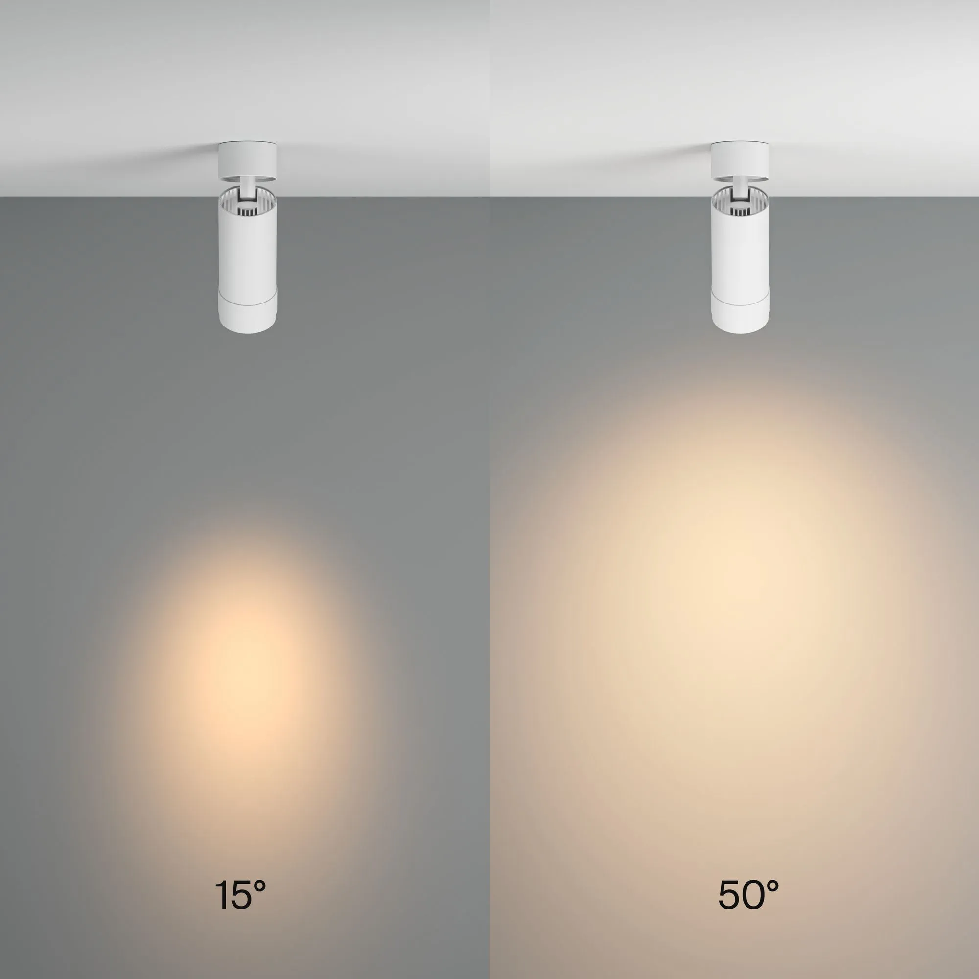 картинка Потолочный светильник Technical C055CL-L12W3K-Z-W