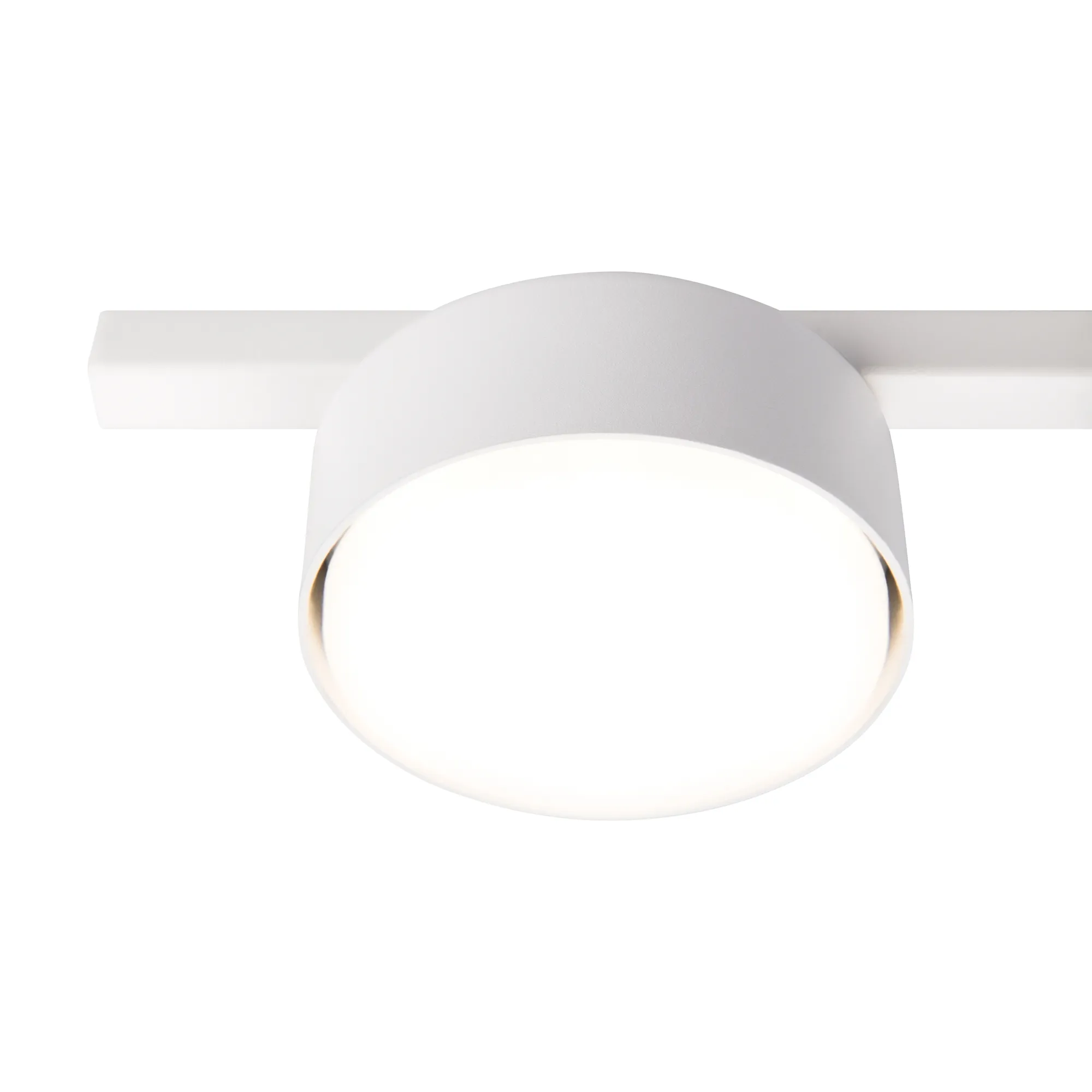 картинка Потолочный светильник Freya FR5363CL-01W