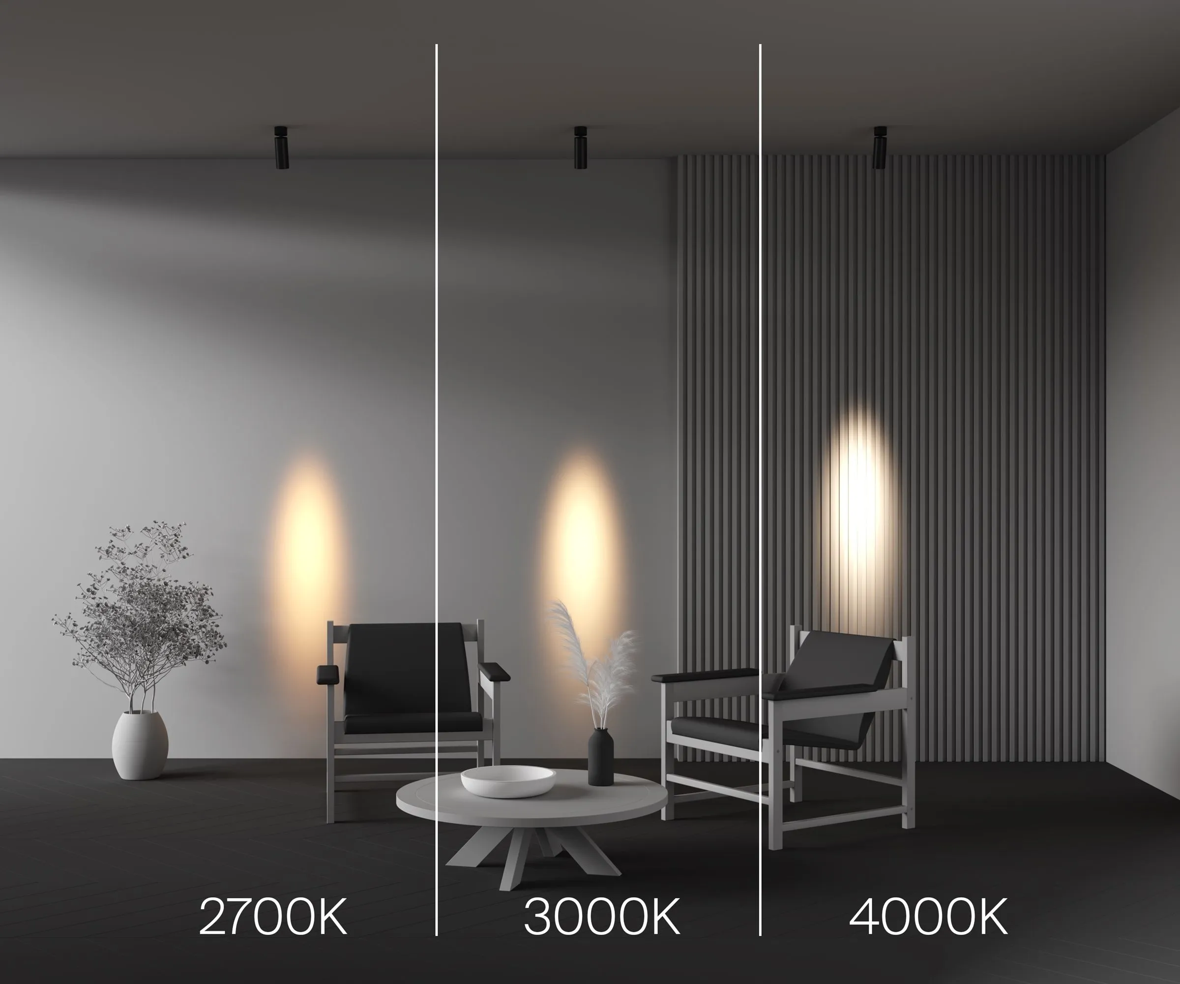 картинка Потолочный светильник Technical C055CL-L12W2.7K-SS-B