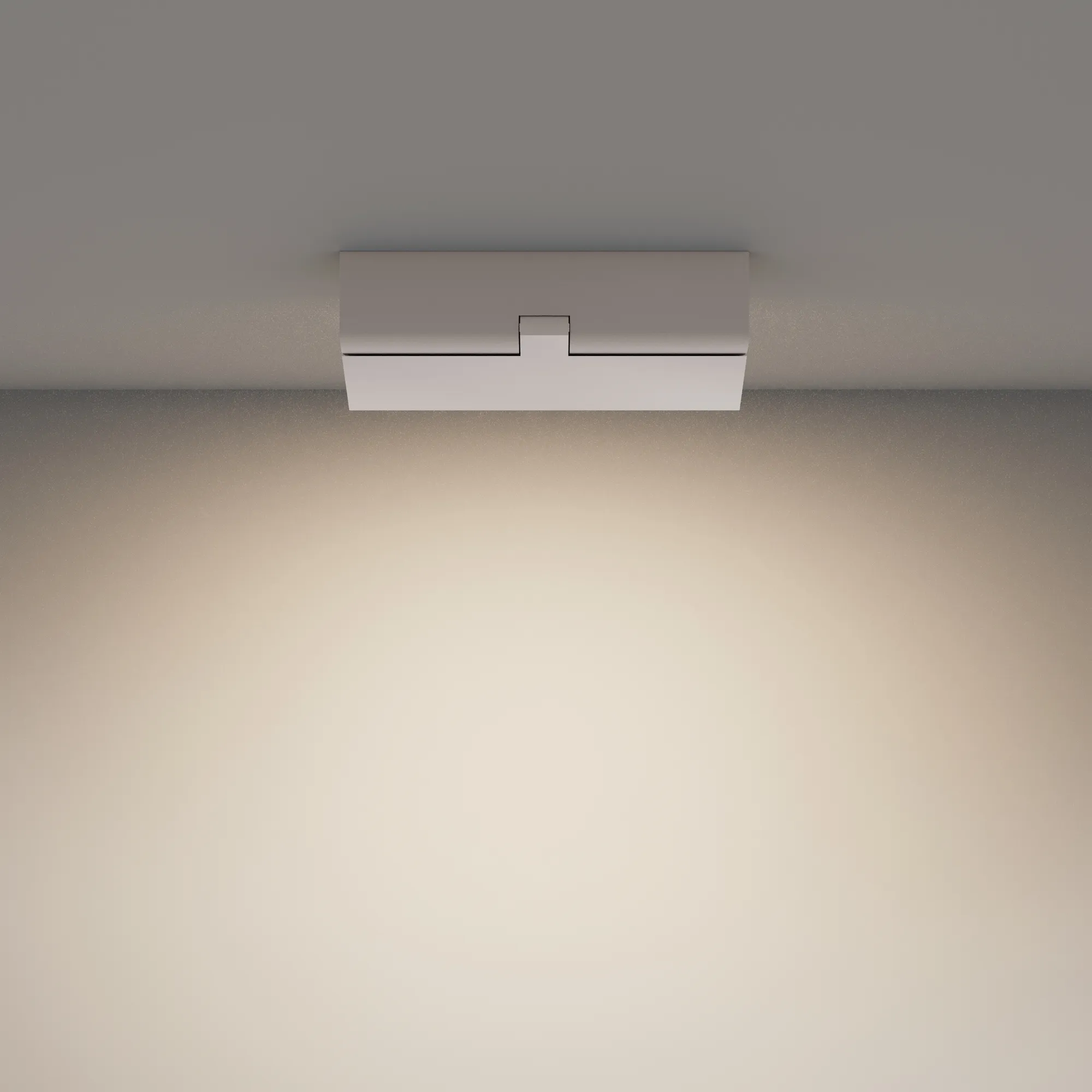 картинка Потолочный светильник Technical C133CL-12W4K-W
