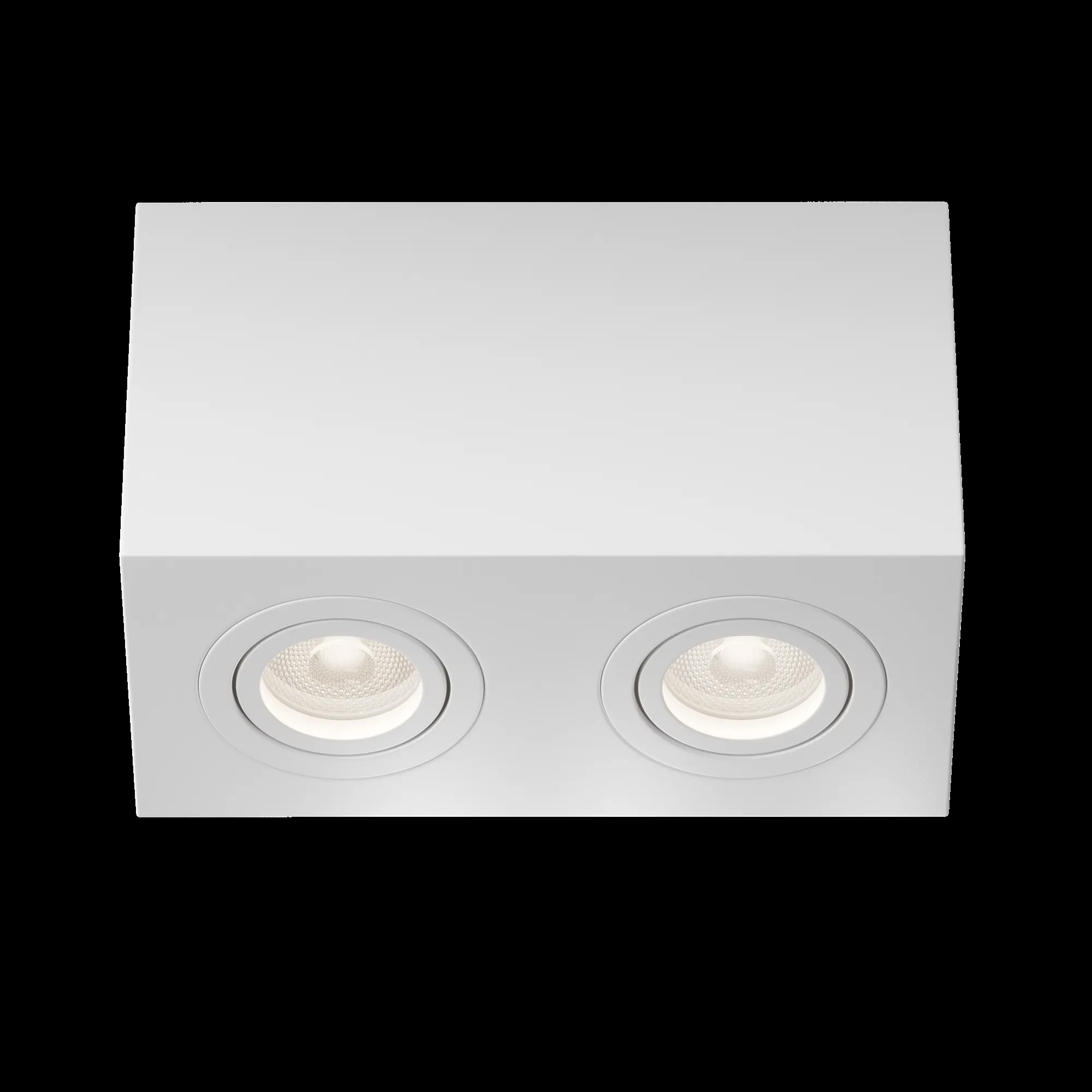 картинка Потолочный светильник Technical C017CL-02W