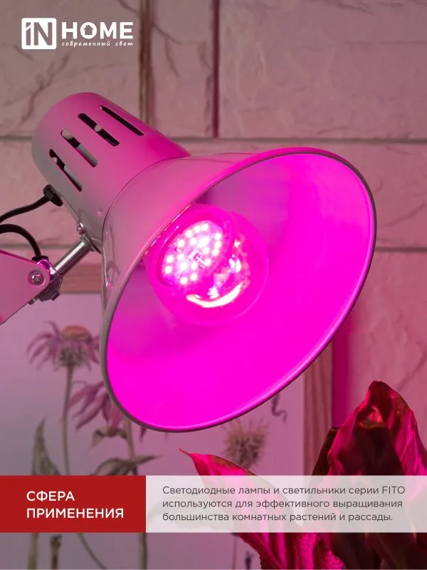 картинка Лампа светодиодная LED-A60 STD-ФИТО красно-синий спектр 15Вт 230В Е27 IN HOME