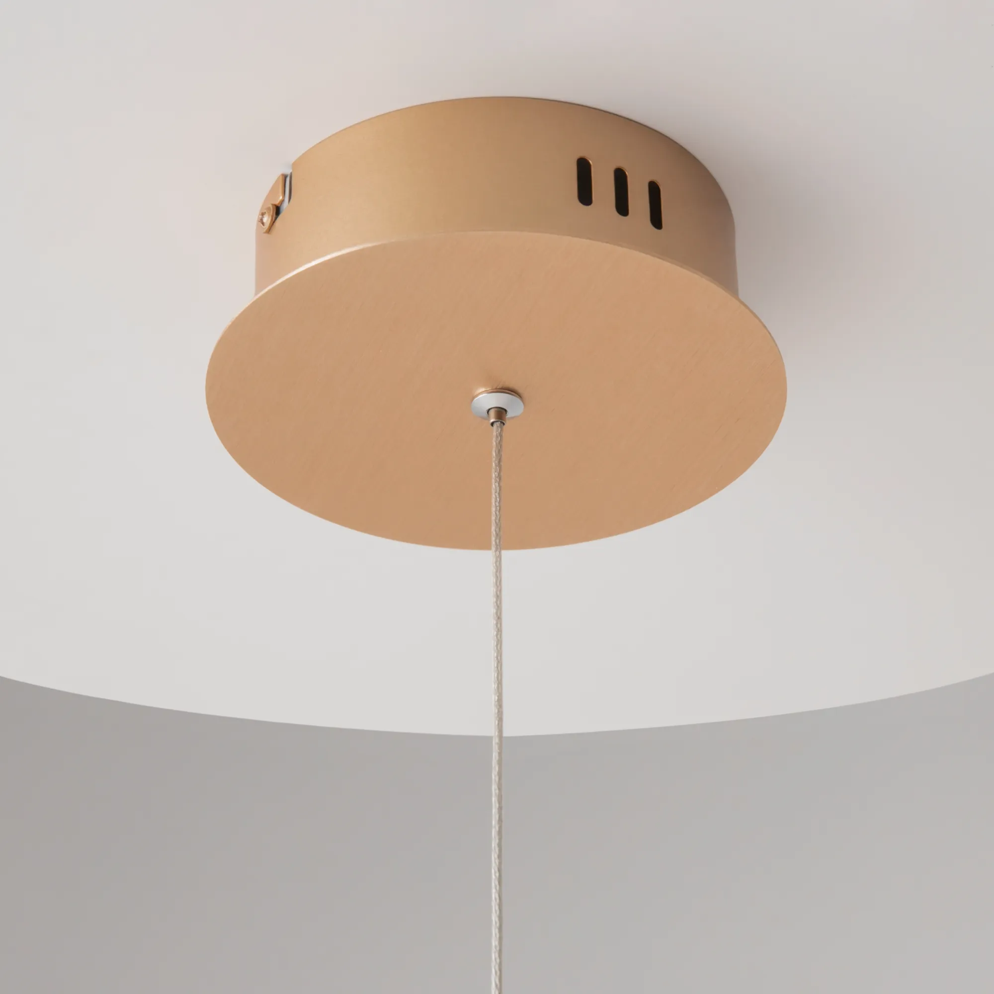 картинка Подвесной светильник Maytoni MOD017PL-L13G