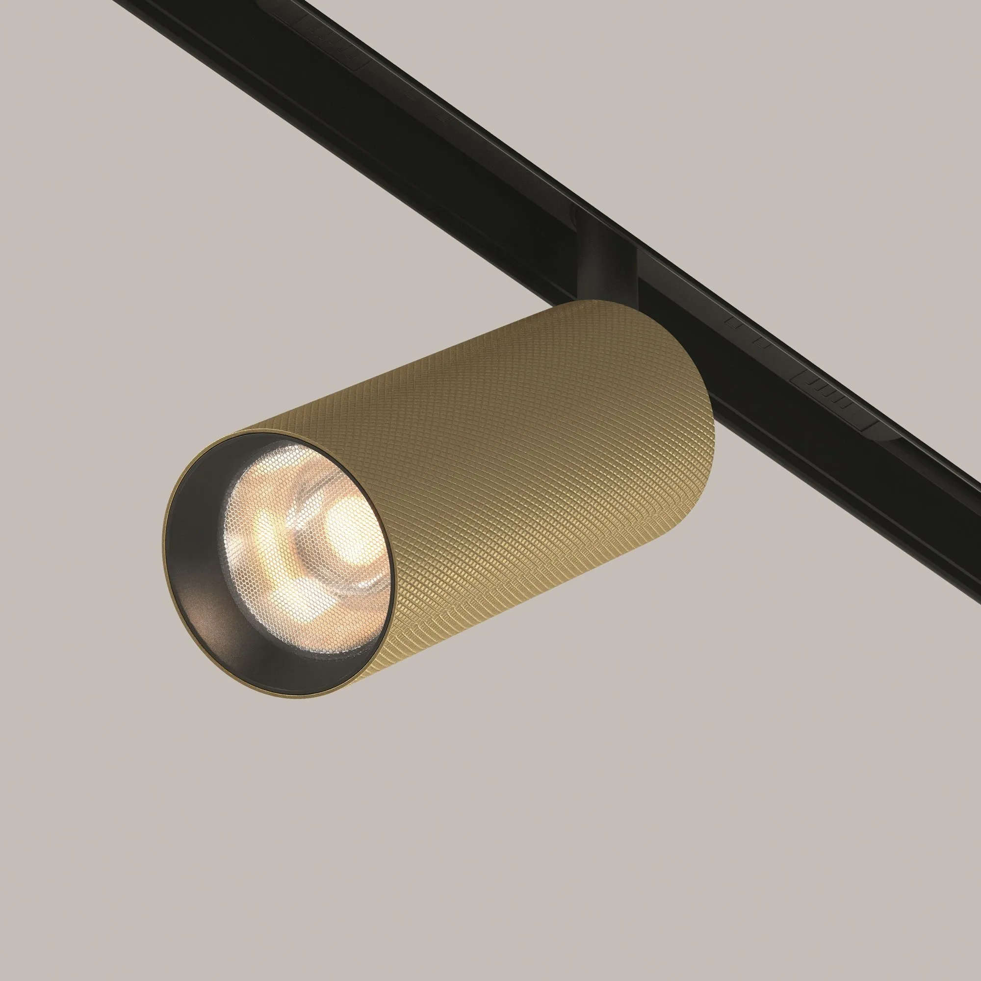 картинка Трековый светильник Technical TR097-2-12W3K-M-BMG