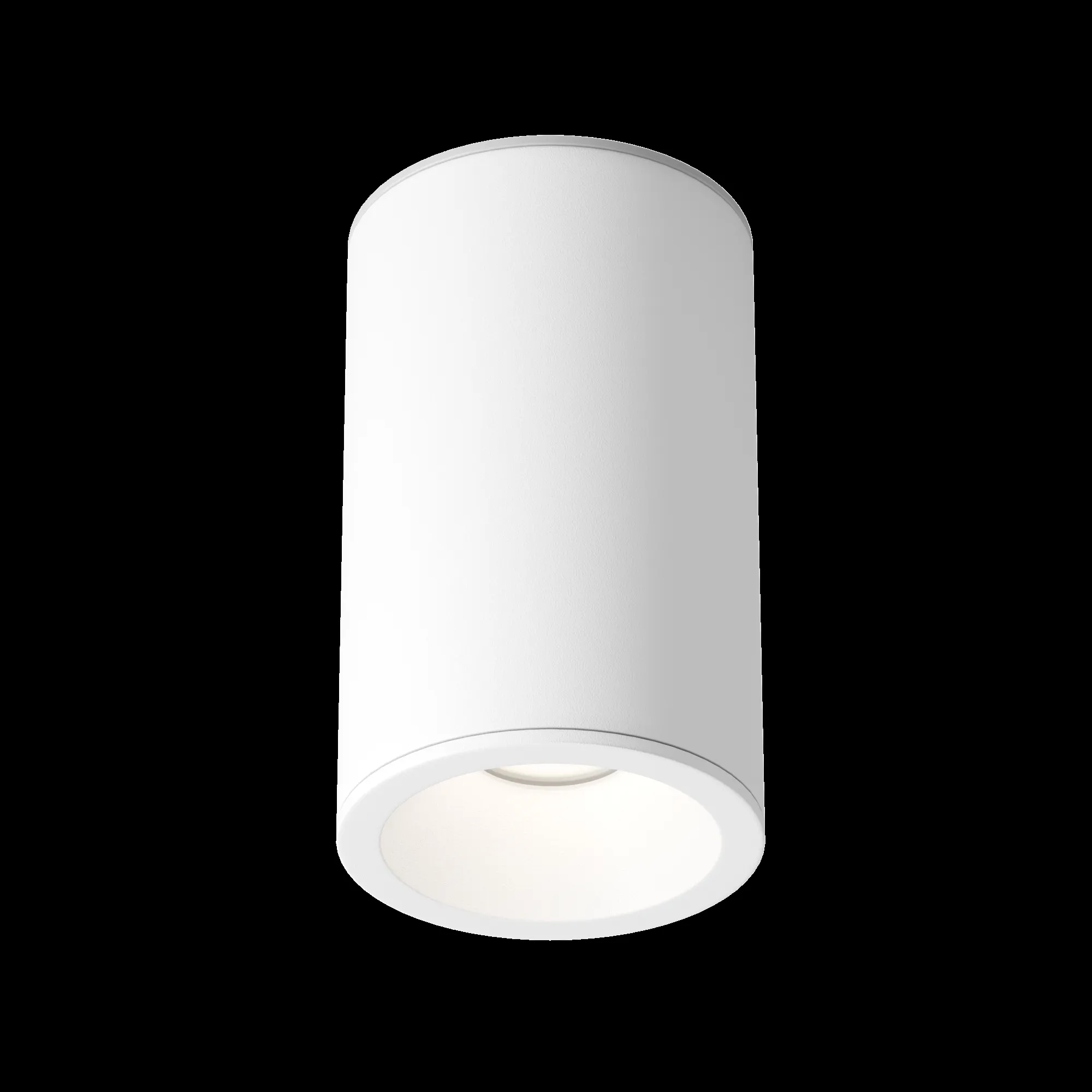 картинка Потолочный светильник Technical C029CL-01-S-W