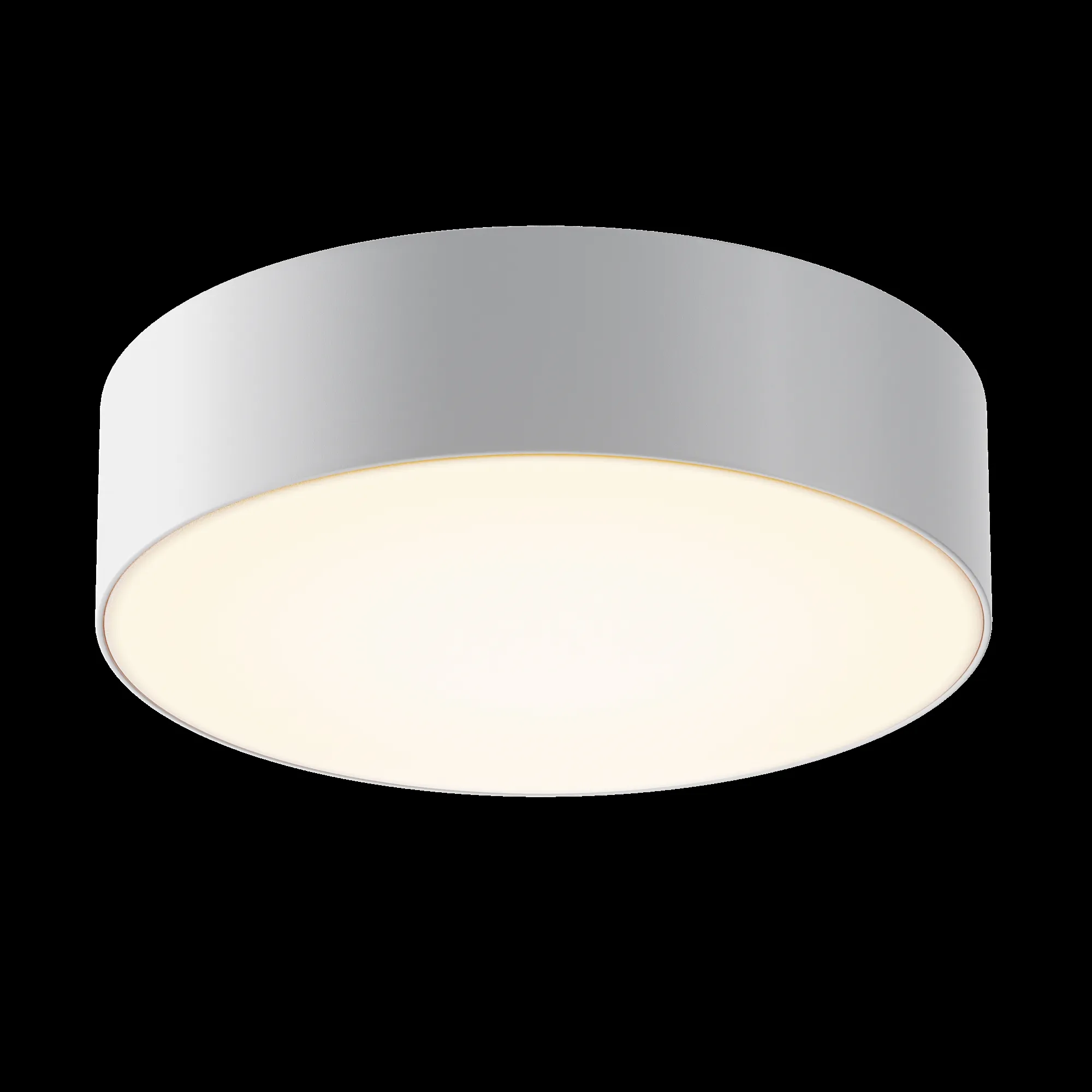 картинка Потолочный светильник Outdoor O431CL-L30W3K