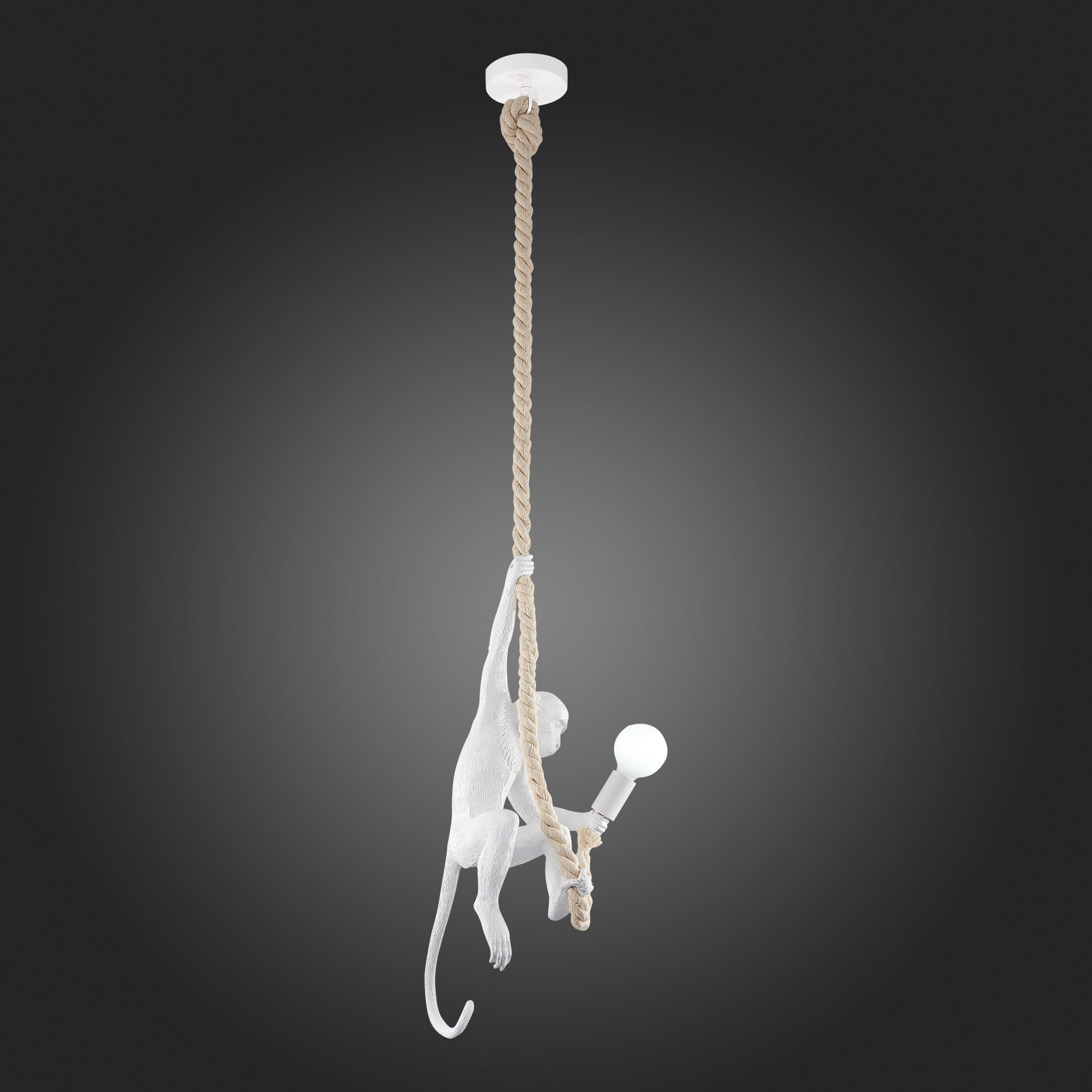 картинка SLE115103-01 Подвес Белый E27 1*60W