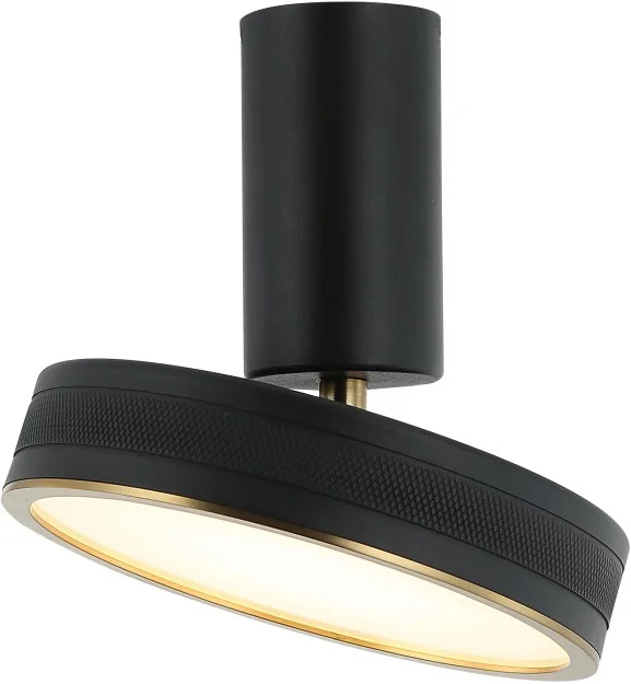 картинка Светильник потолочный-настенный Stilfort 4025/02/01CW серия Tendas