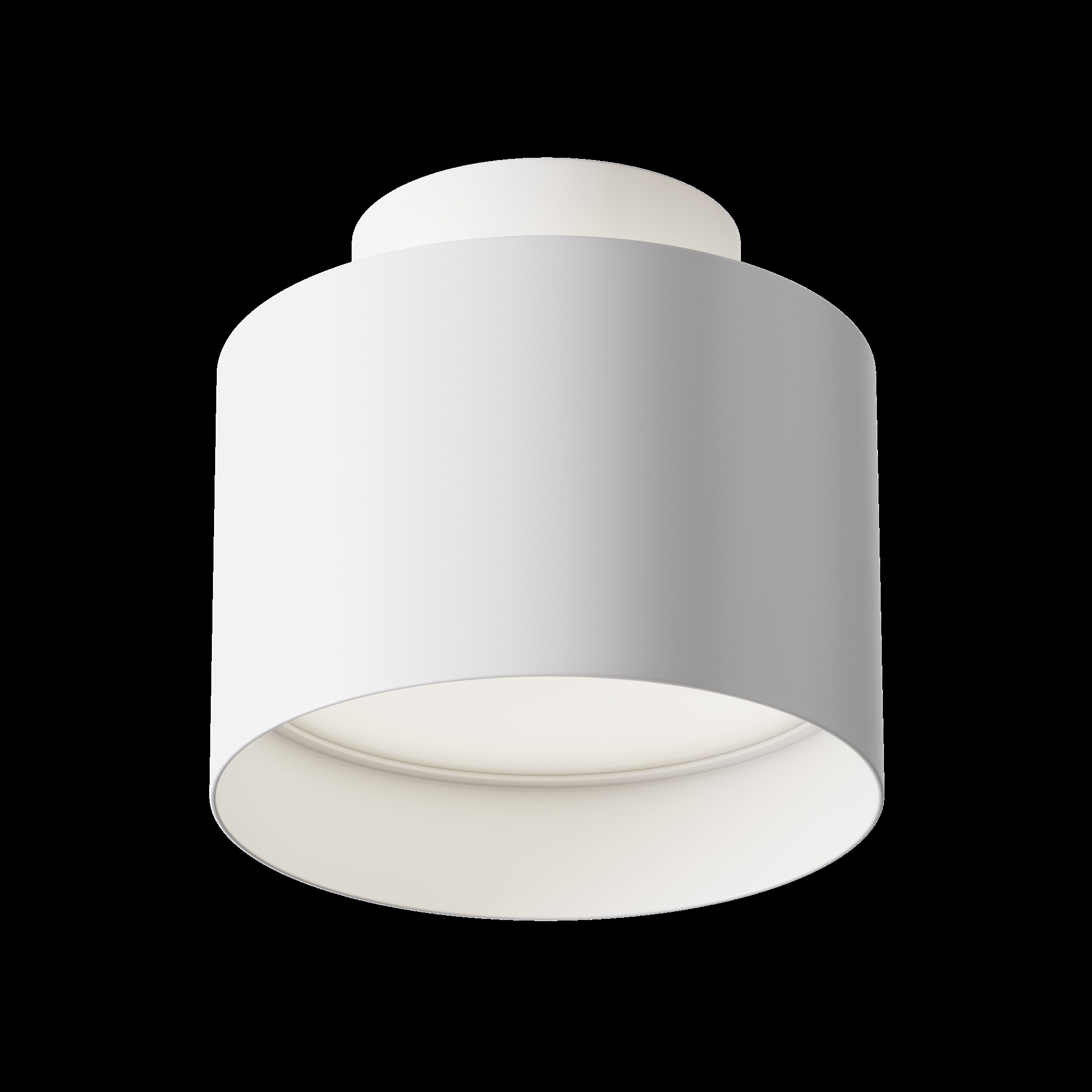 картинка Потолочный светильник Technical C009CW-L12W4K