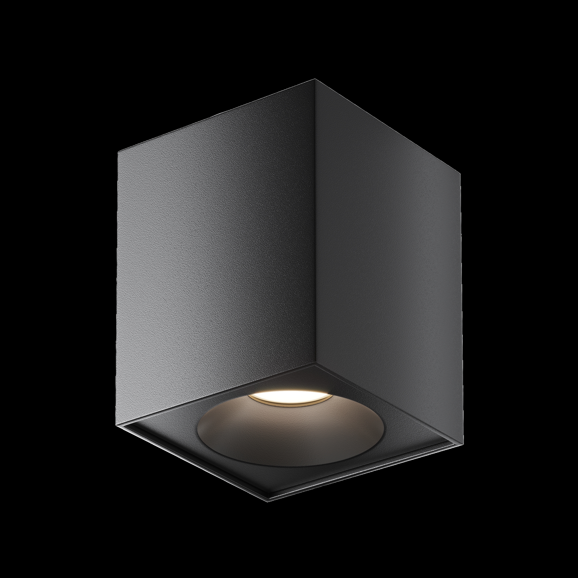 картинка Потолочный светильник Technical C030CL-01B