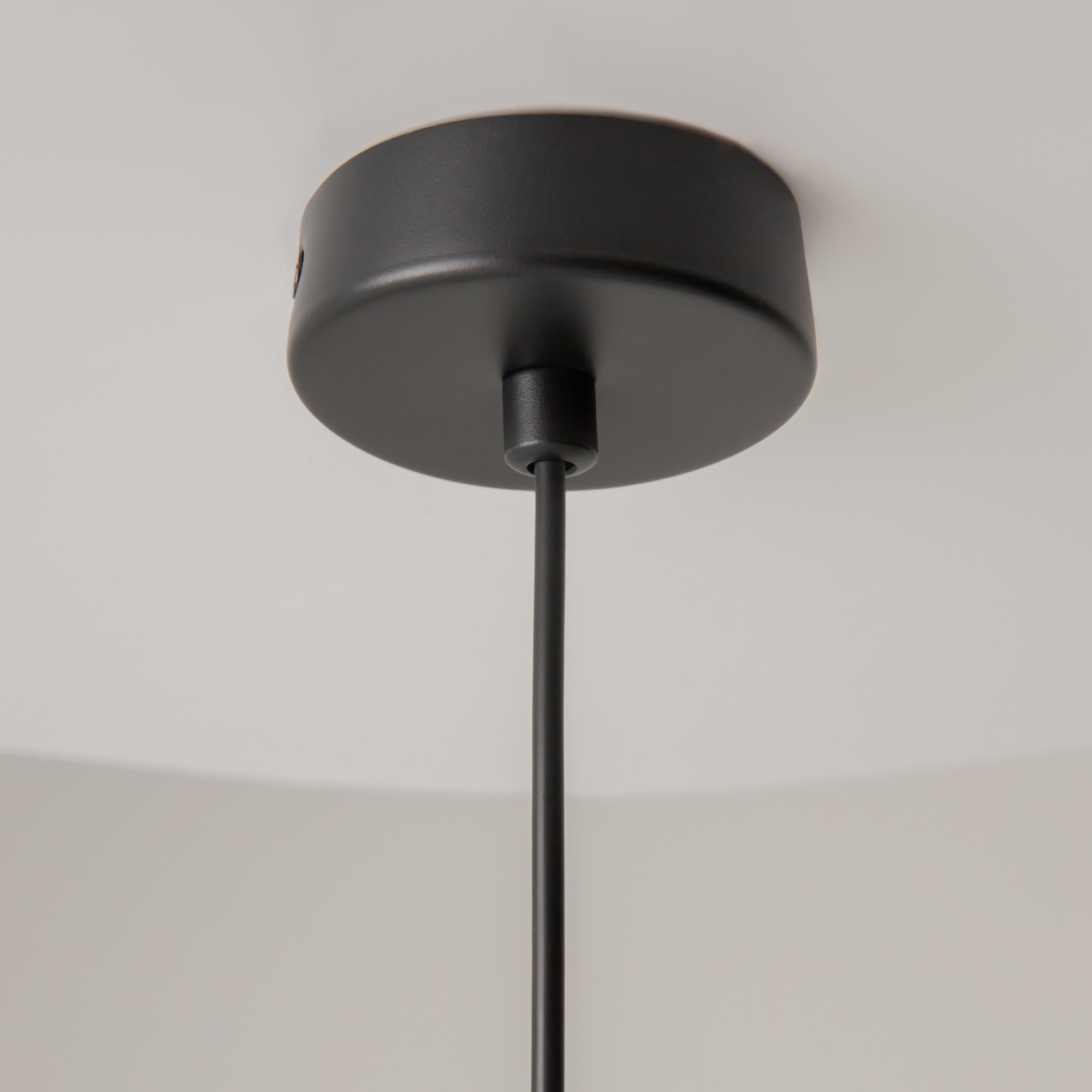 картинка Подвесной светильник Maytoni MOD303PL-01CFL2