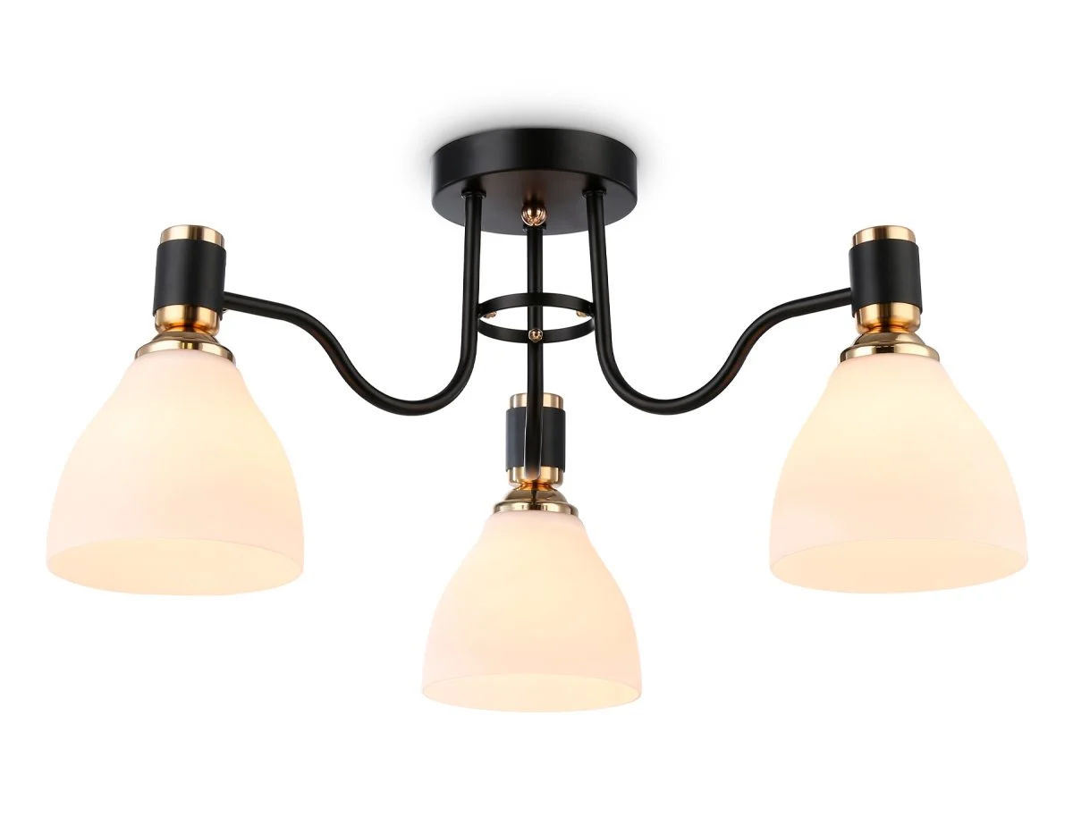 картинка Потолочный светильник TR303303