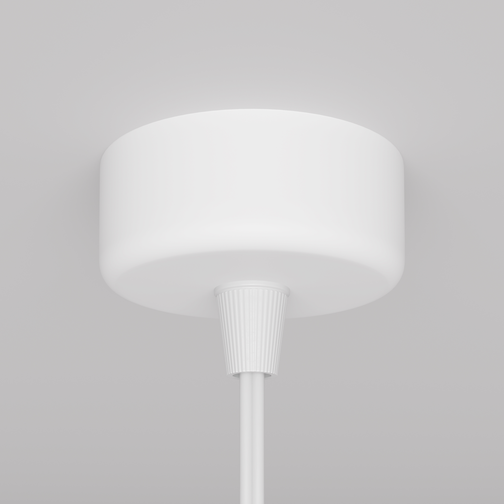 картинка Подвесной светильник Technical P038PL-01W