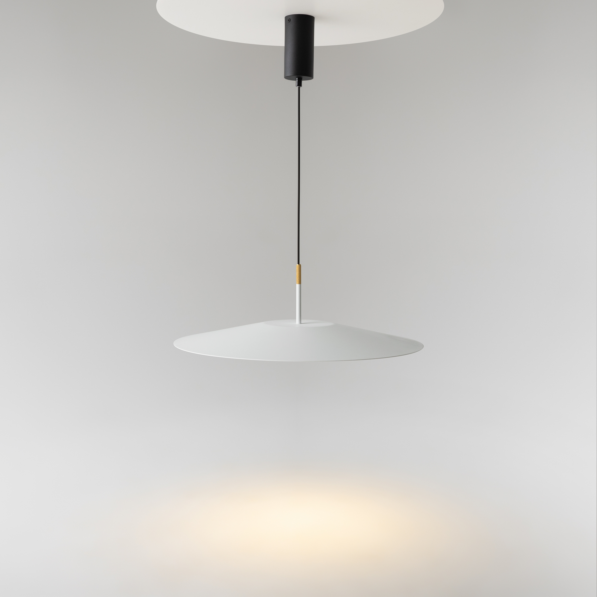 картинка Подвесной светильник Maytoni MOD041PL-L15W3K1