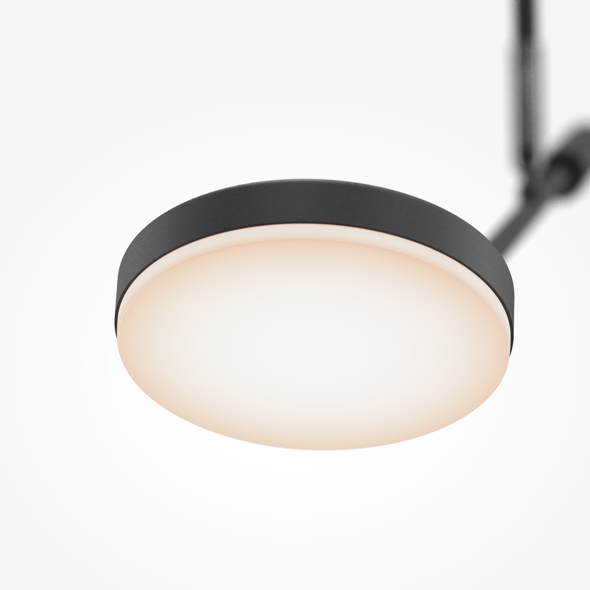 картинка Потолочный светильник Maytoni MOD070CL-L8B3K