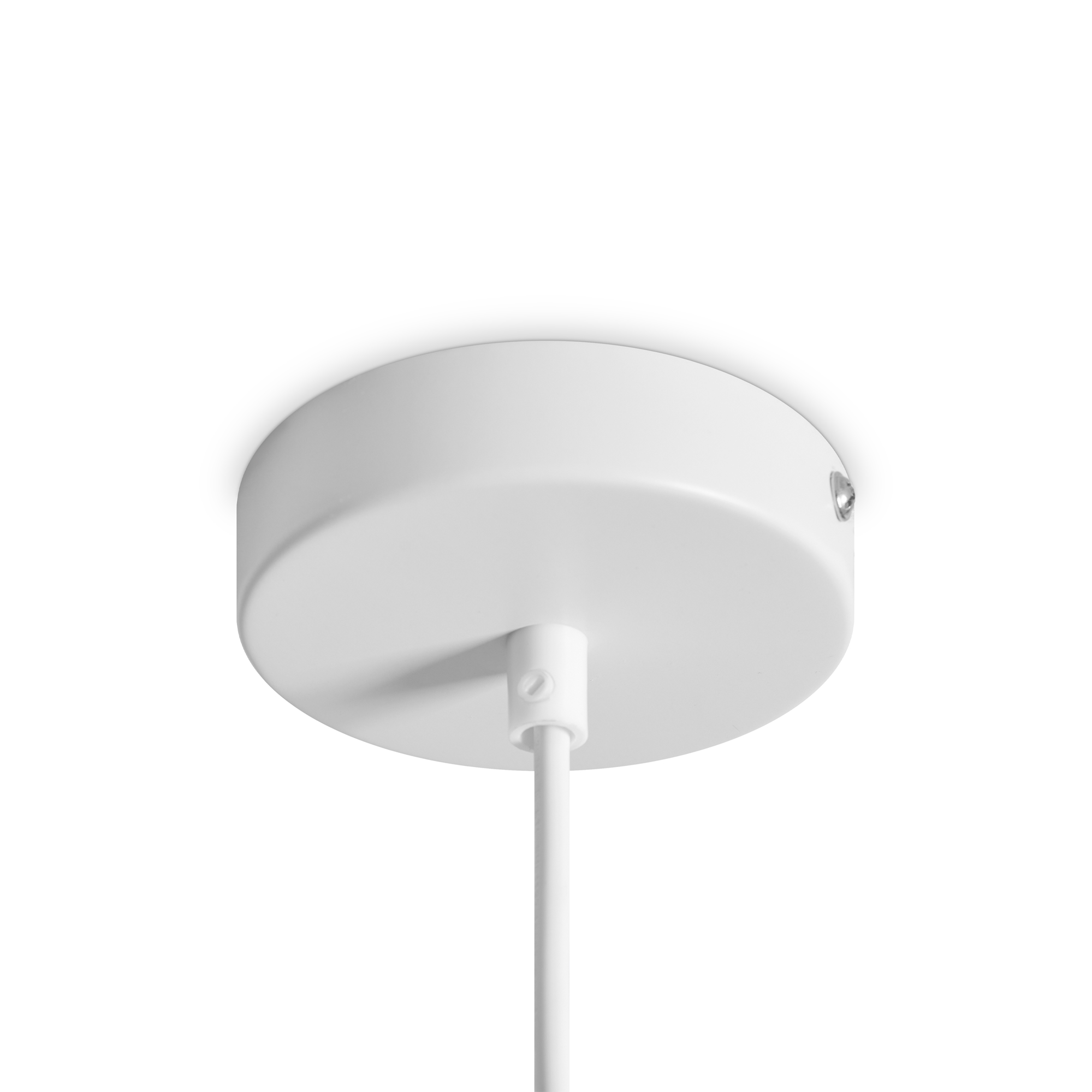 картинка Подвесной светильник Freya FR5530PL-L10W