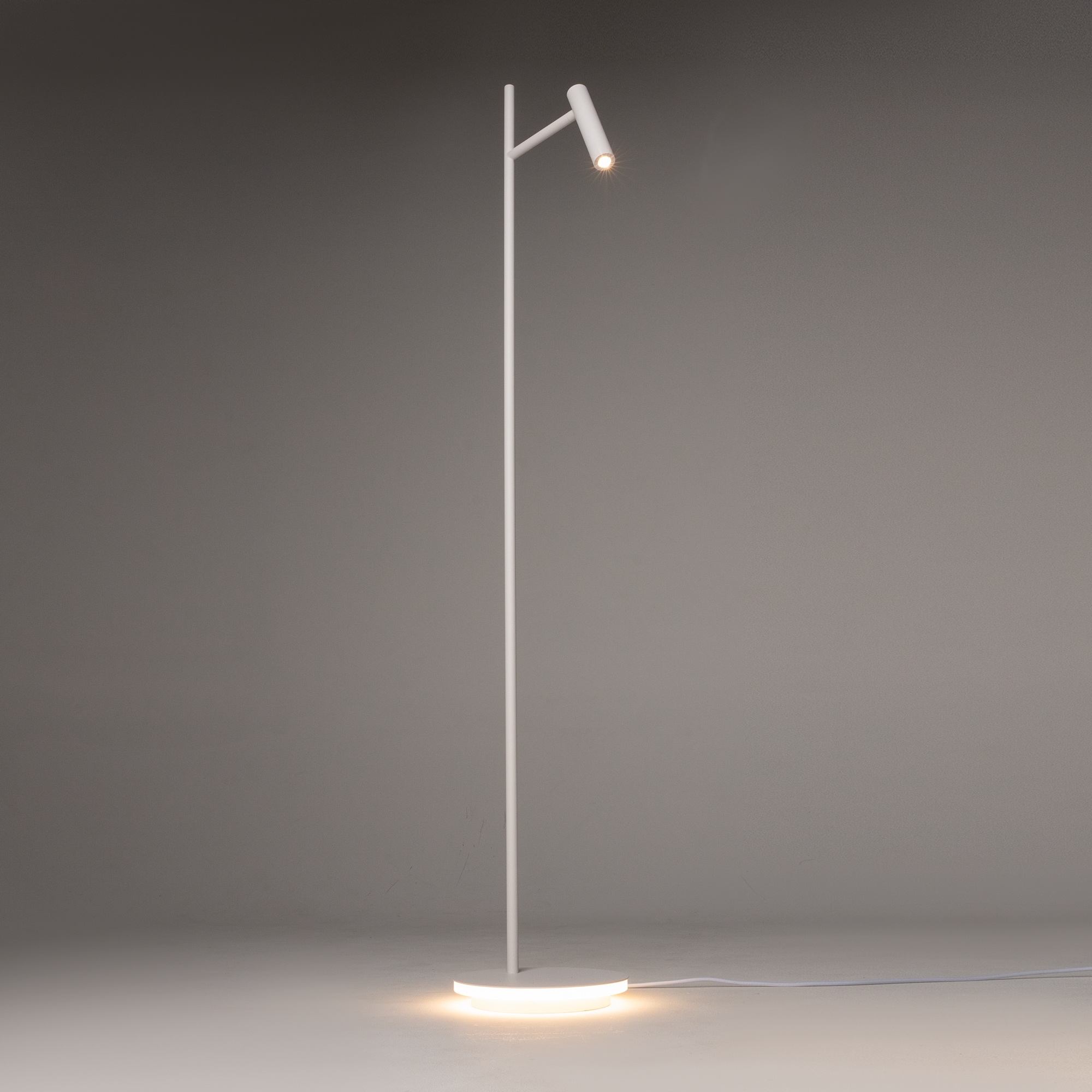 картинка Напольный светильник (торшер) Maytoni Z010FL-L8W3K