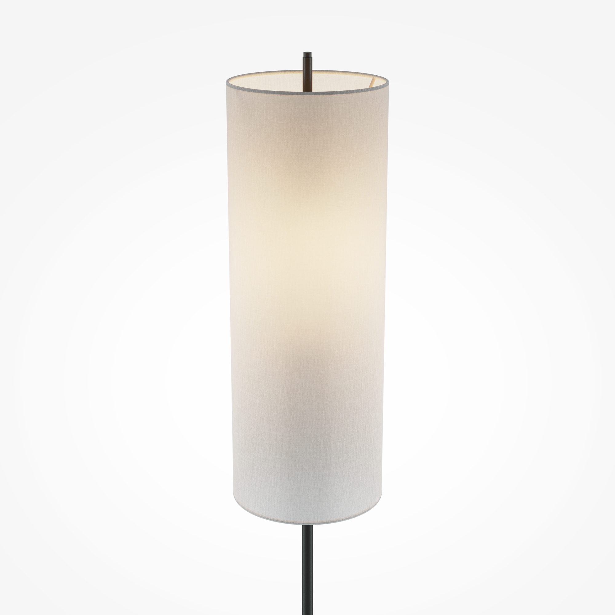 картинка Напольный светильник (торшер) Maytoni MOD437FL-01B