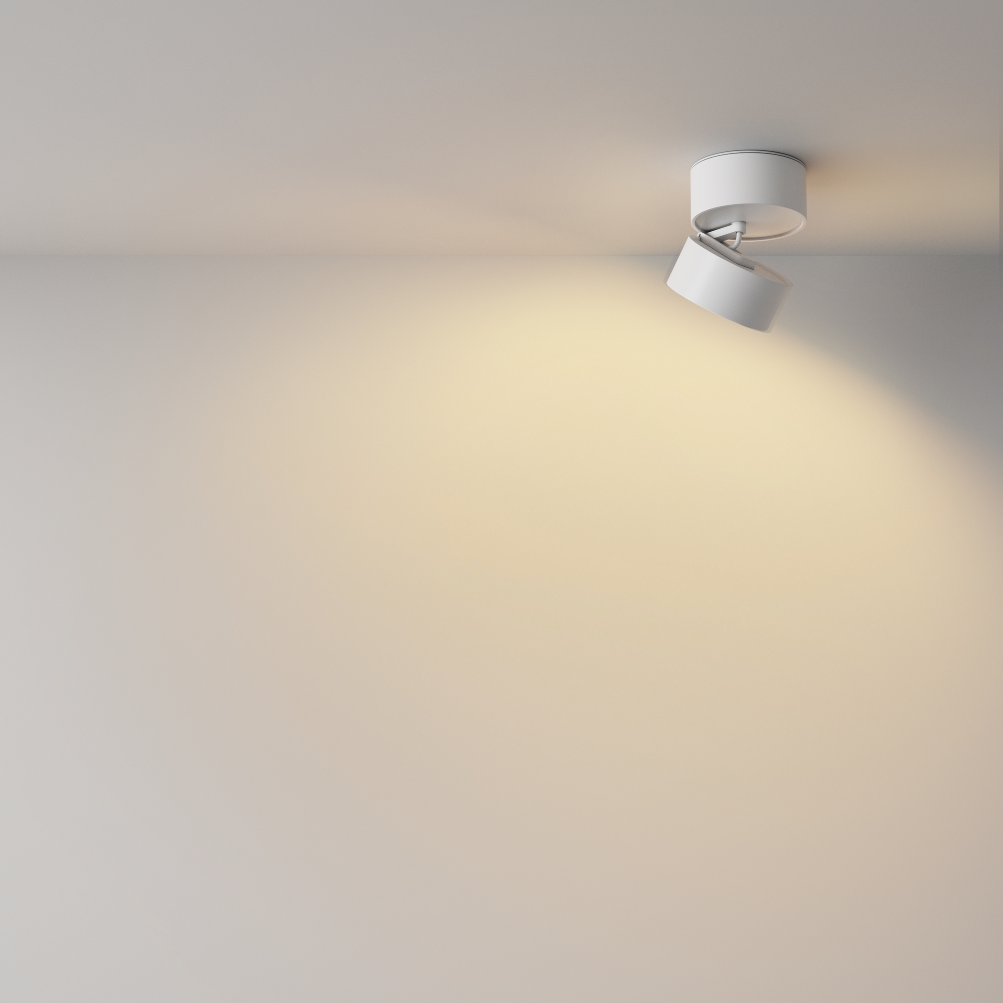 картинка Потолочный светильник Technical C024CL-12W2.7K-W-1