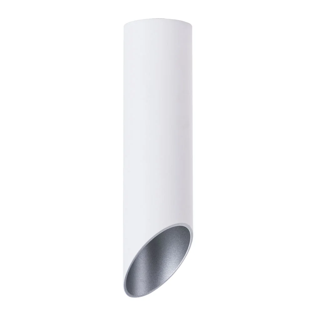 картинка Точечный накладной светильник Arte Lamp PILON-SILVER A1535PL-1WH