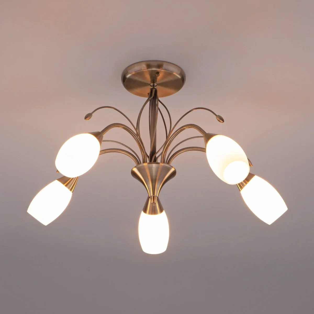 картинка Потолочная люстра со стеклянными плафонами 30280/5