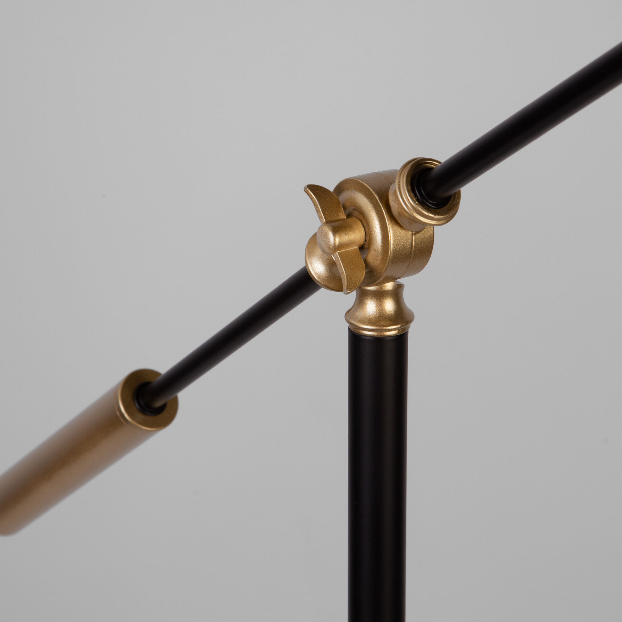 картинка Напольный светильник 01143/1 черный/золото