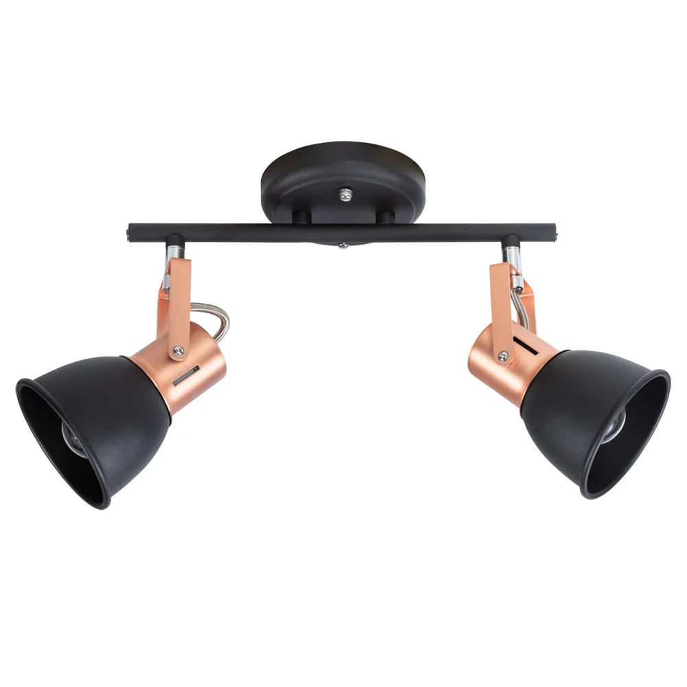 картинка Спот Arte Lamp JOVI A1677PL-2BK